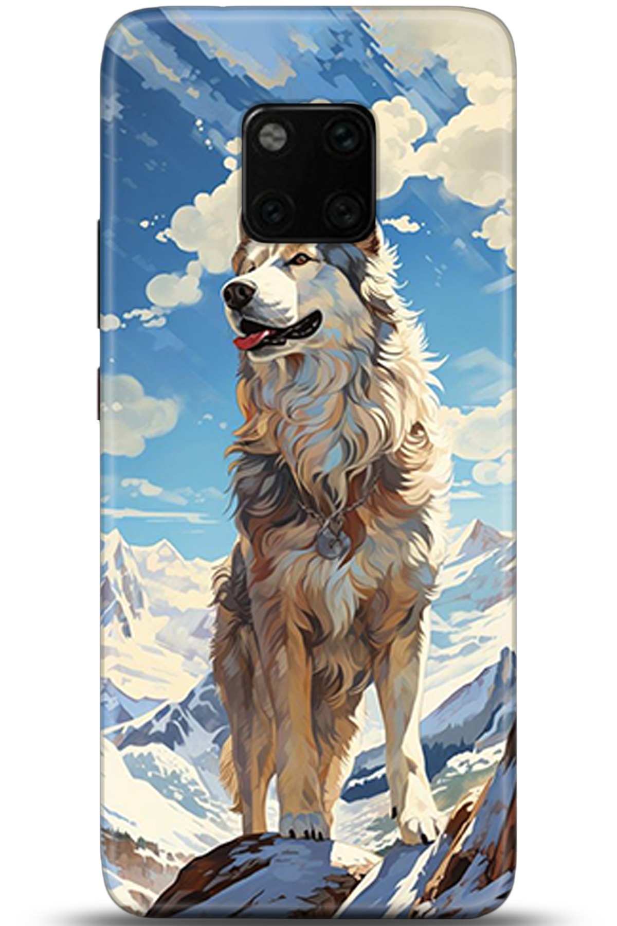 Huawei Mate 20 Pro Uyumlu Kılıf HD Baskılı Kılıf - Followed Institution 5357