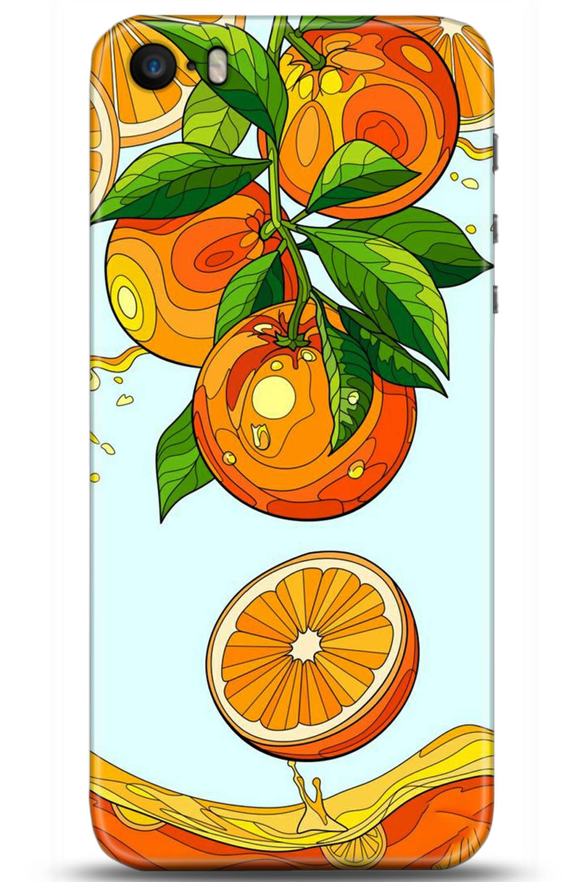 Apple iPhone 5S Uyumlu Kılıf HD Baskılı Kılıf - Followed Institution 5202