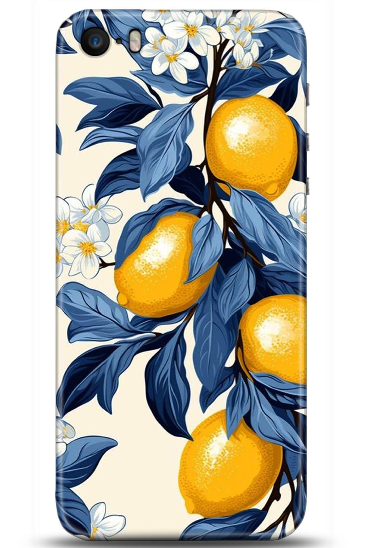 Apple iPhone 5S Uyumlu Kılıf HD Baskılı Kılıf - Followed Institution 5229