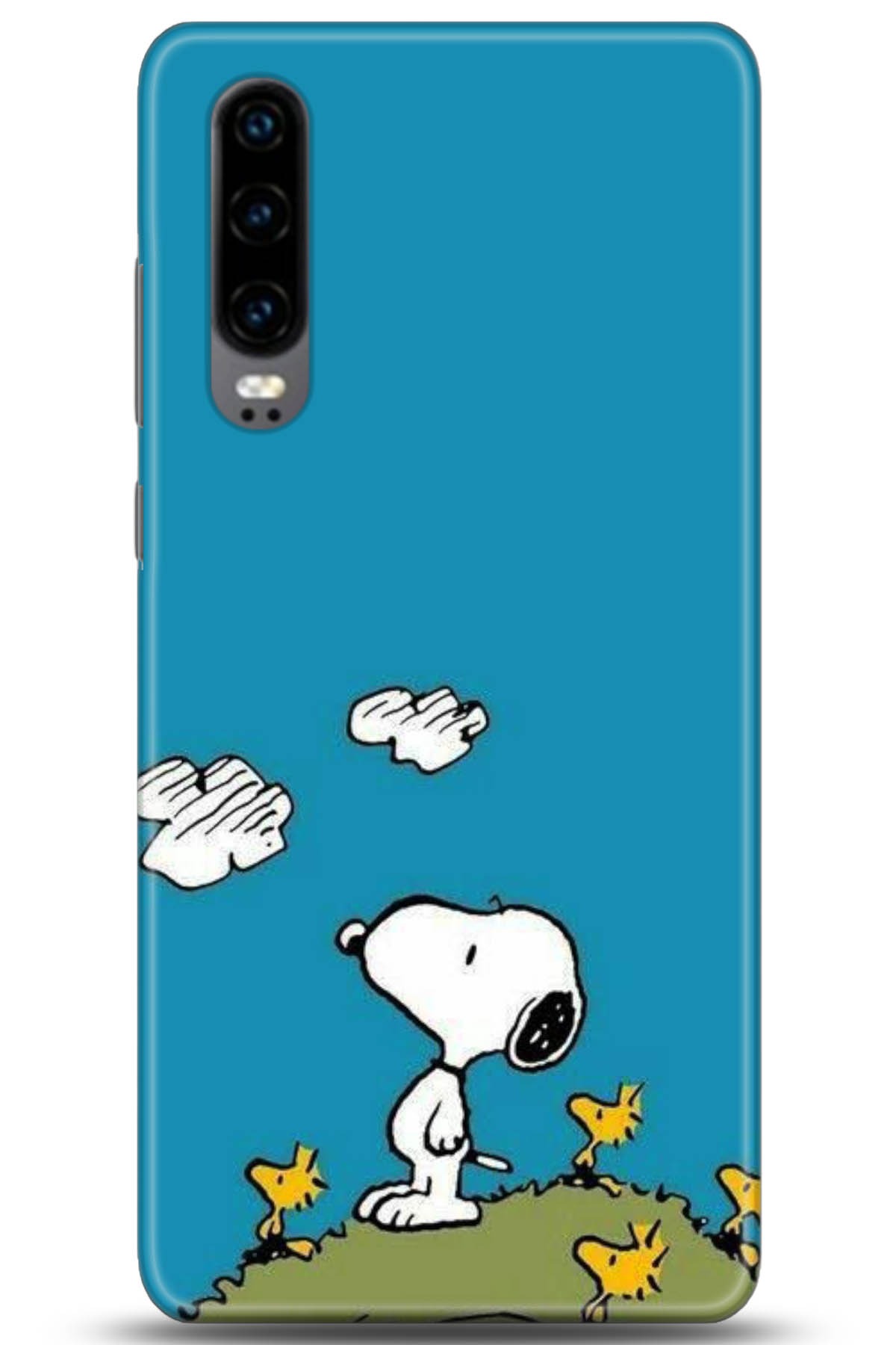 Huawei P30 Uyumlu Kılıf HD Baskılı Kılıf - Followed Institution 5099