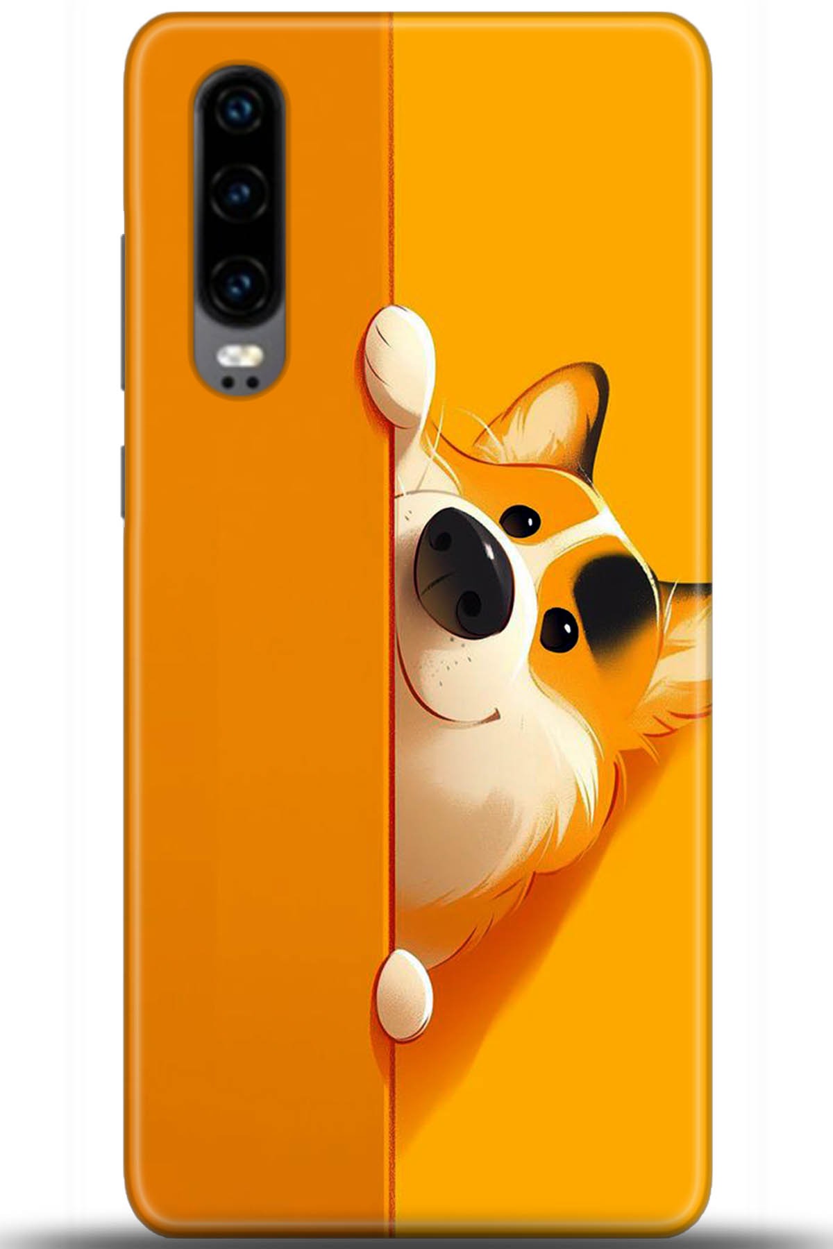 Huawei P30 Uyumlu Kılıf HD Baskılı Kılıf - Followed Institution 5460