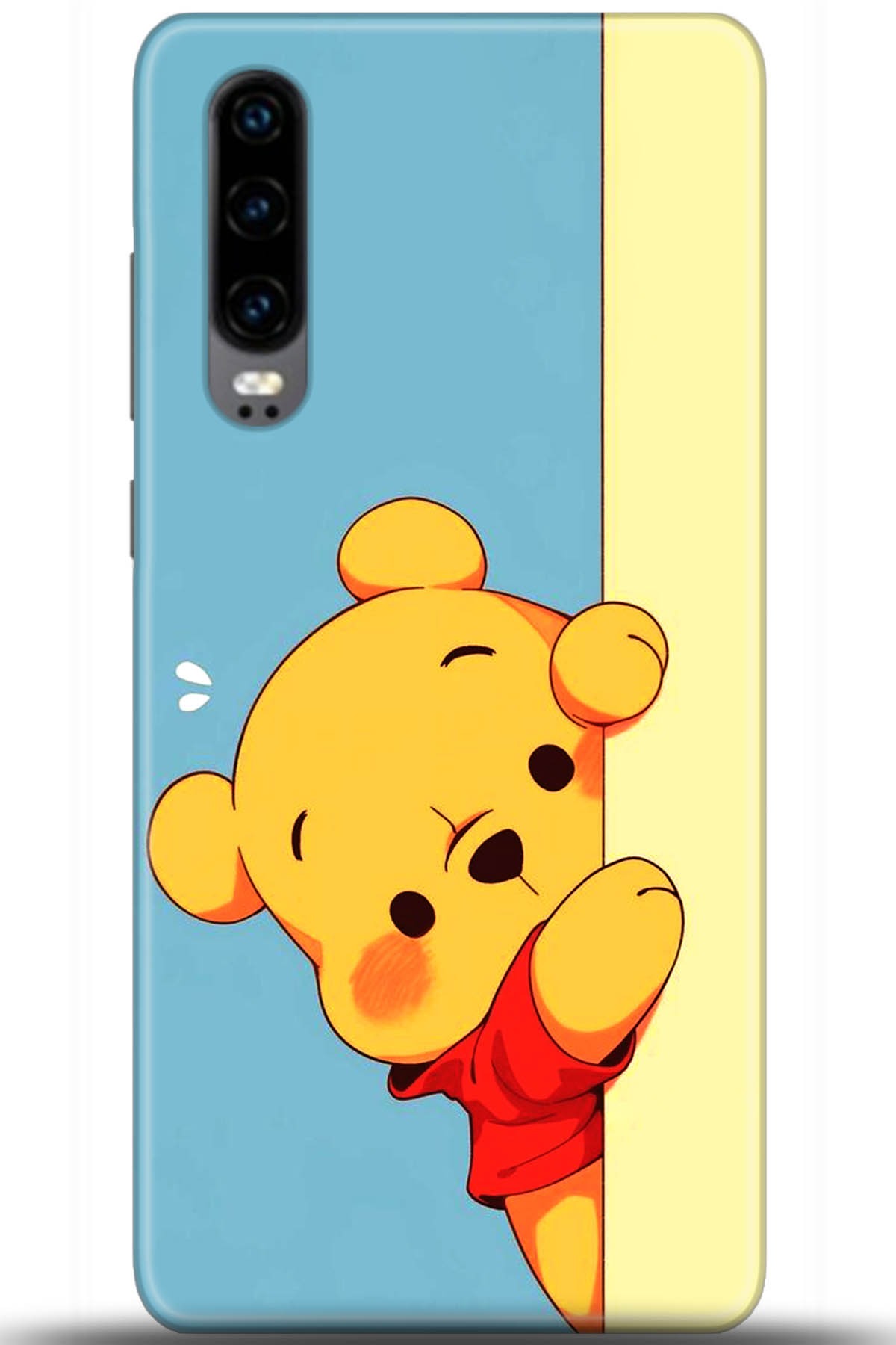 Huawei P30 Uyumlu Kılıf HD Baskılı Kılıf - Followed Institution 5648