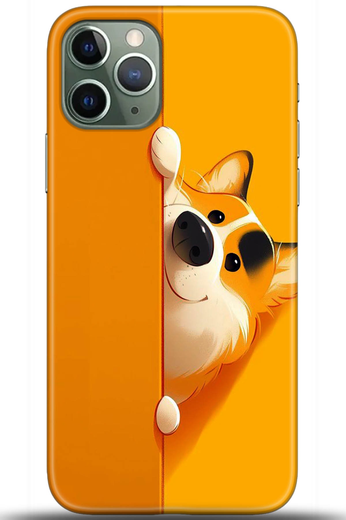 Apple iPhone 11 Pro Max Kılıf HD Baskılı Kılıf - Followed Institution 5460