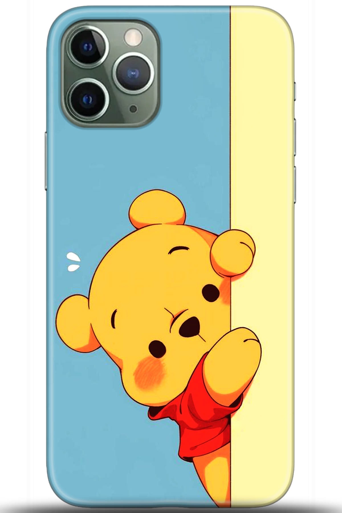 Apple iPhone 11 Pro Max Kılıf HD Baskılı Kılıf - Followed Institution 5648