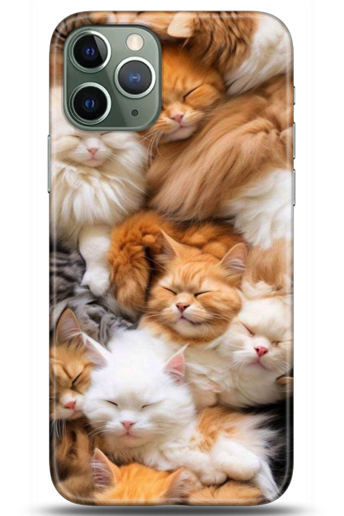 Apple iPhone 11 Pro Kılıf HD Baskılı Kılıf - Followed Institution 5234