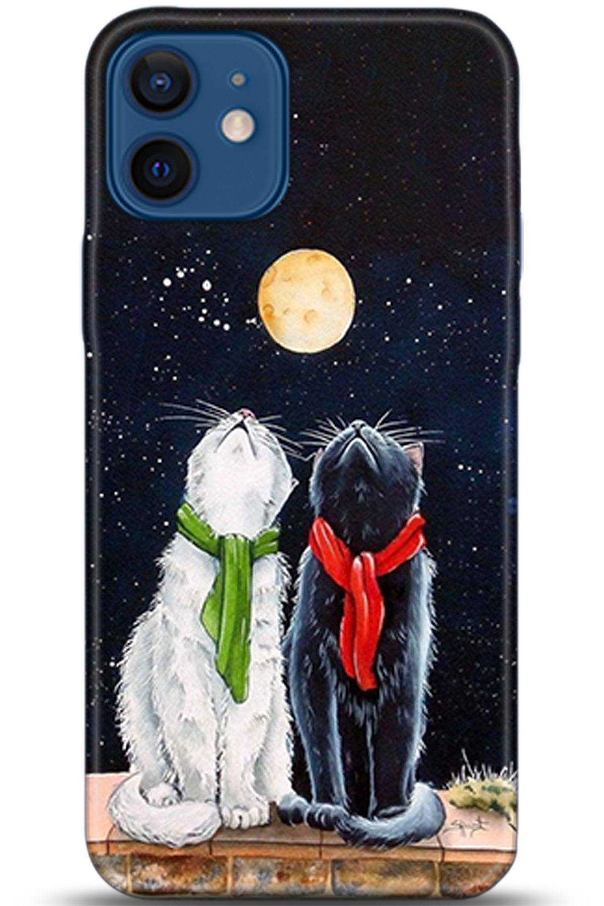 Apple iPhone 12 Mini Kılıf HD Baskılı Kılıf - Followed Institution 5318