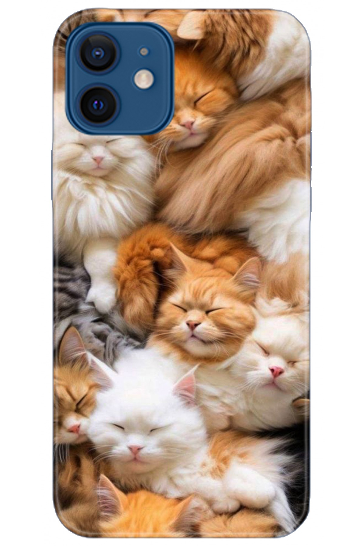 Apple iPhone 12 Mini Uyumlu Kılıf HD Baskılı Kılıf - Followed Institution 5234