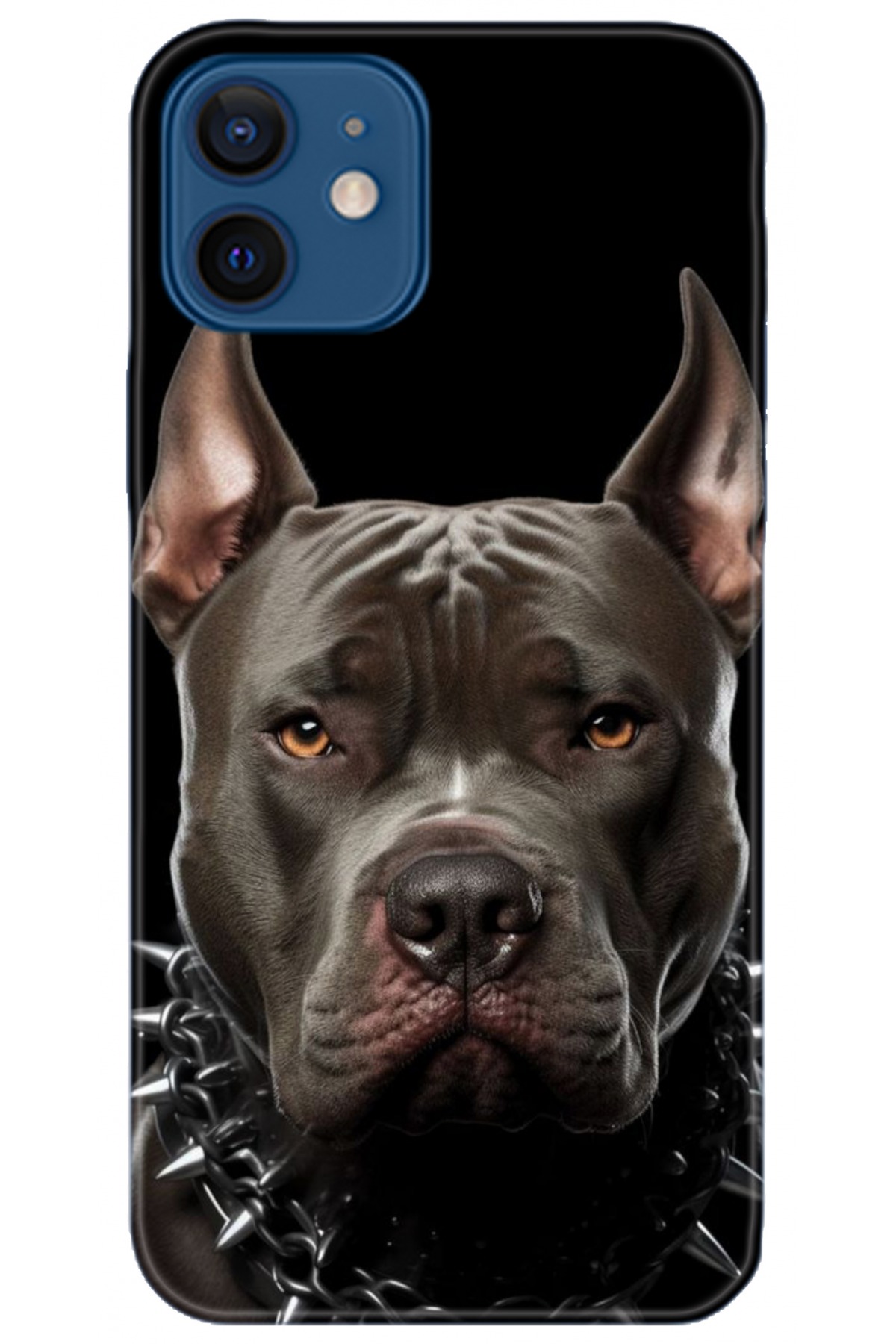 Apple iPhone 12 6.1inç Kılıf HD Baskılı Kılıf - Followed Institution 5104