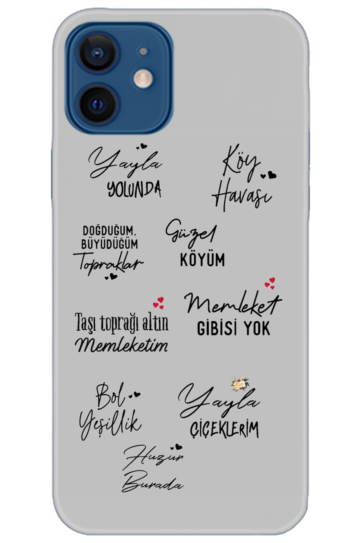 Apple iPhone 12 6.1inç Uyumlu Kılıf HD Baskılı Kılıf - Followed Institution 5210