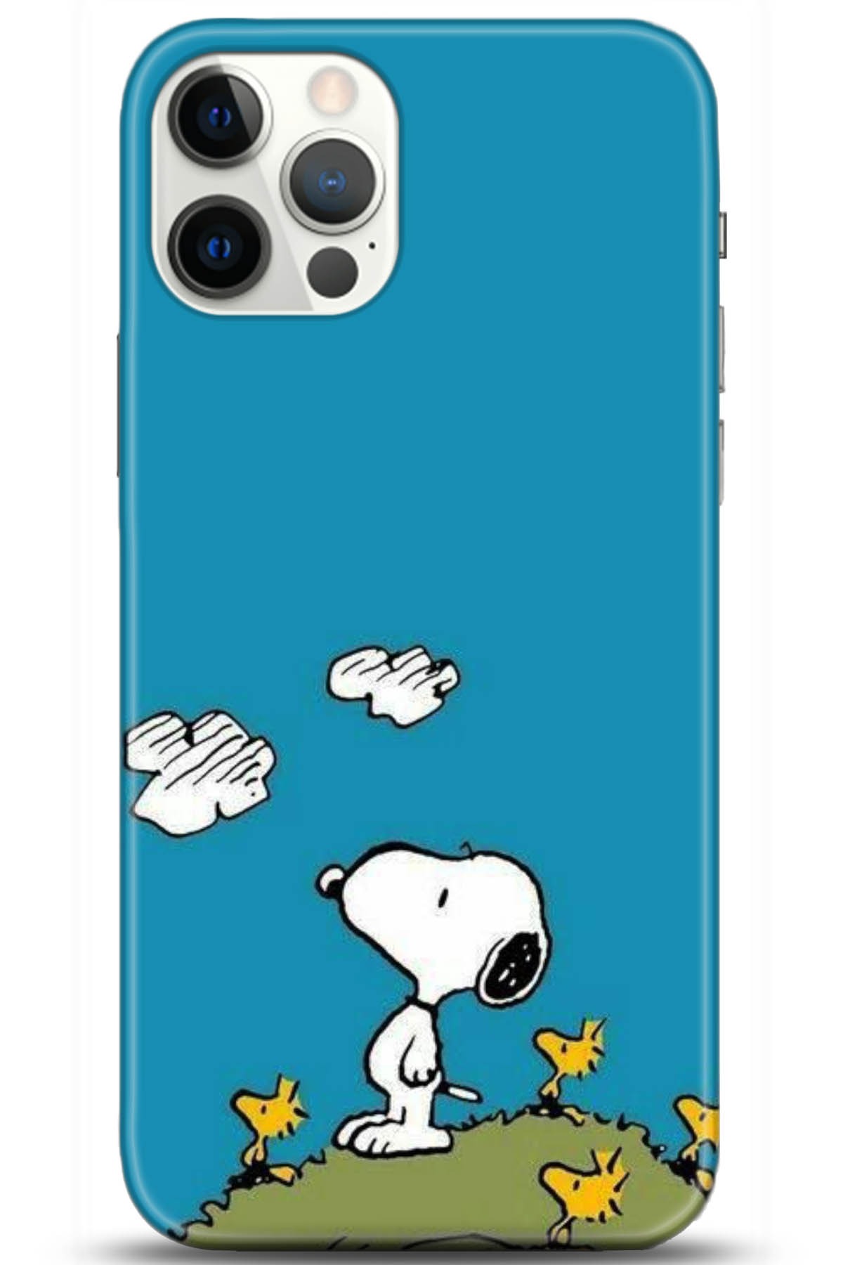 Apple iPhone 12 Pro 6.1inç Kılıf HD Baskılı Kılıf - Followed Institution 5099