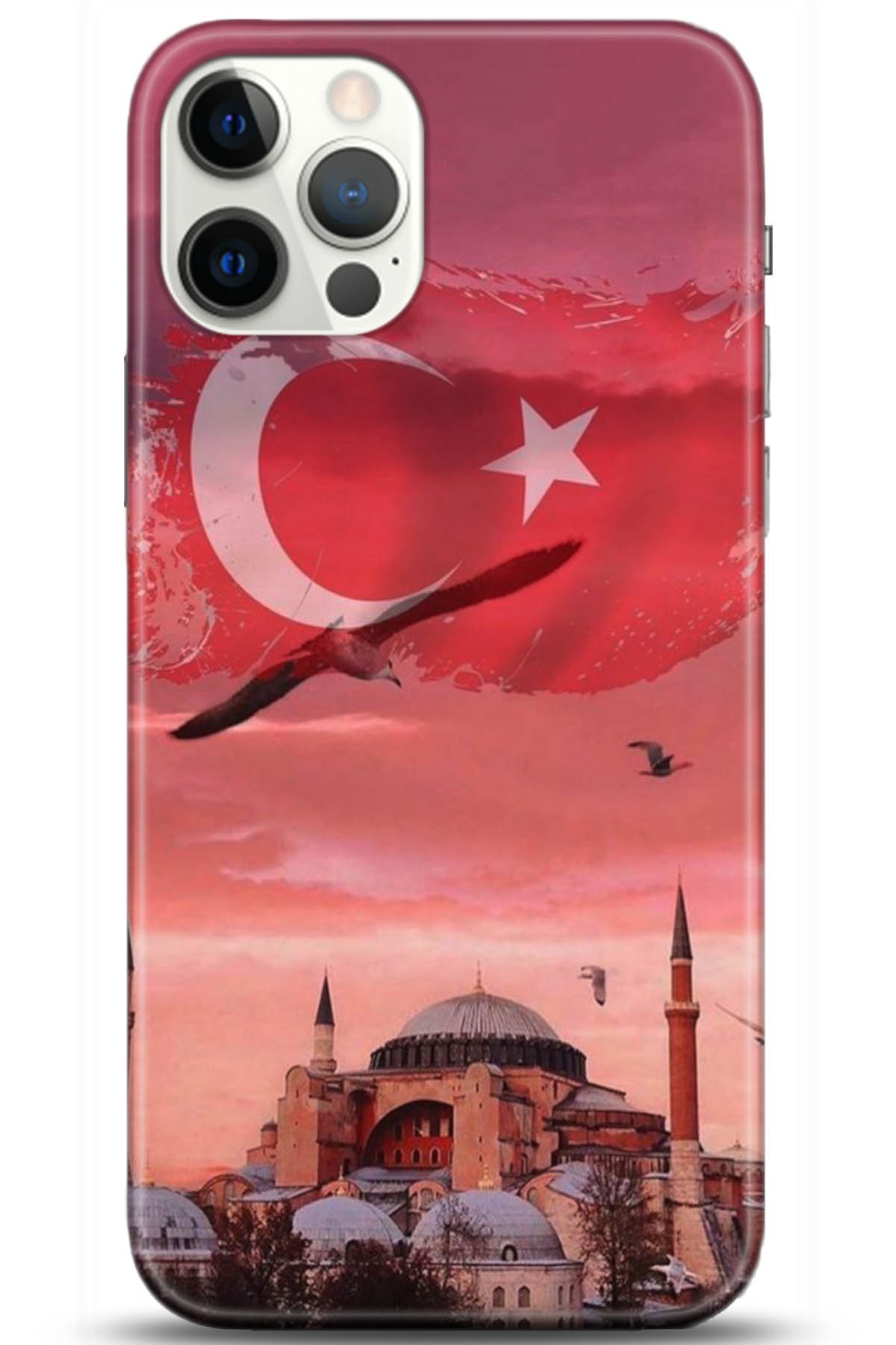 Apple iPhone 12 Pro 6.1inç Kılıf HD Baskılı Kılıf - Followed Institution 5179