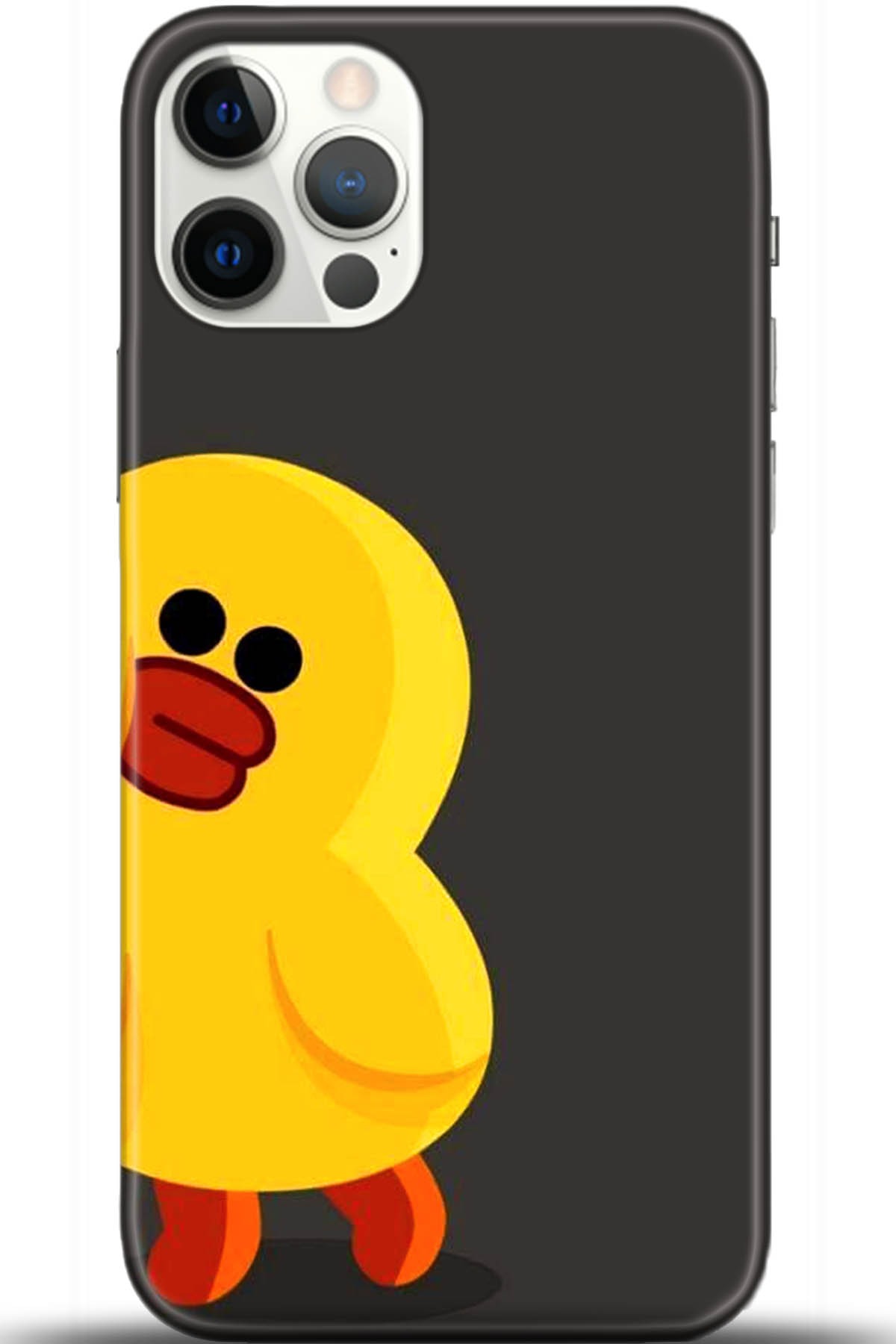 Apple iPhone 12 Pro 6.1inç Kılıf HD Baskılı Kılıf - Followed Institution 5519