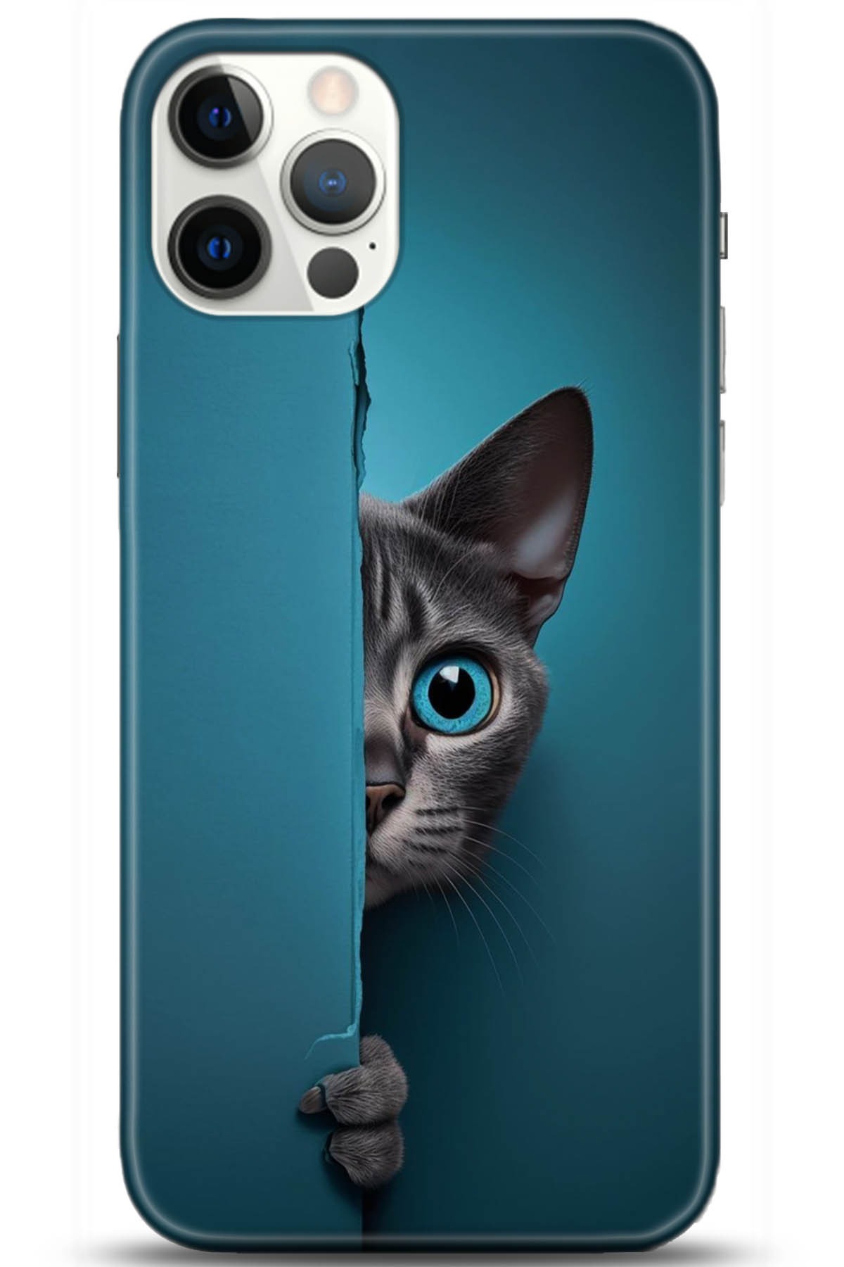 Apple iPhone 12 Pro 6.1inç Uyumlu Kılıf HD Baskılı Kılıf - Followed Institution 5091