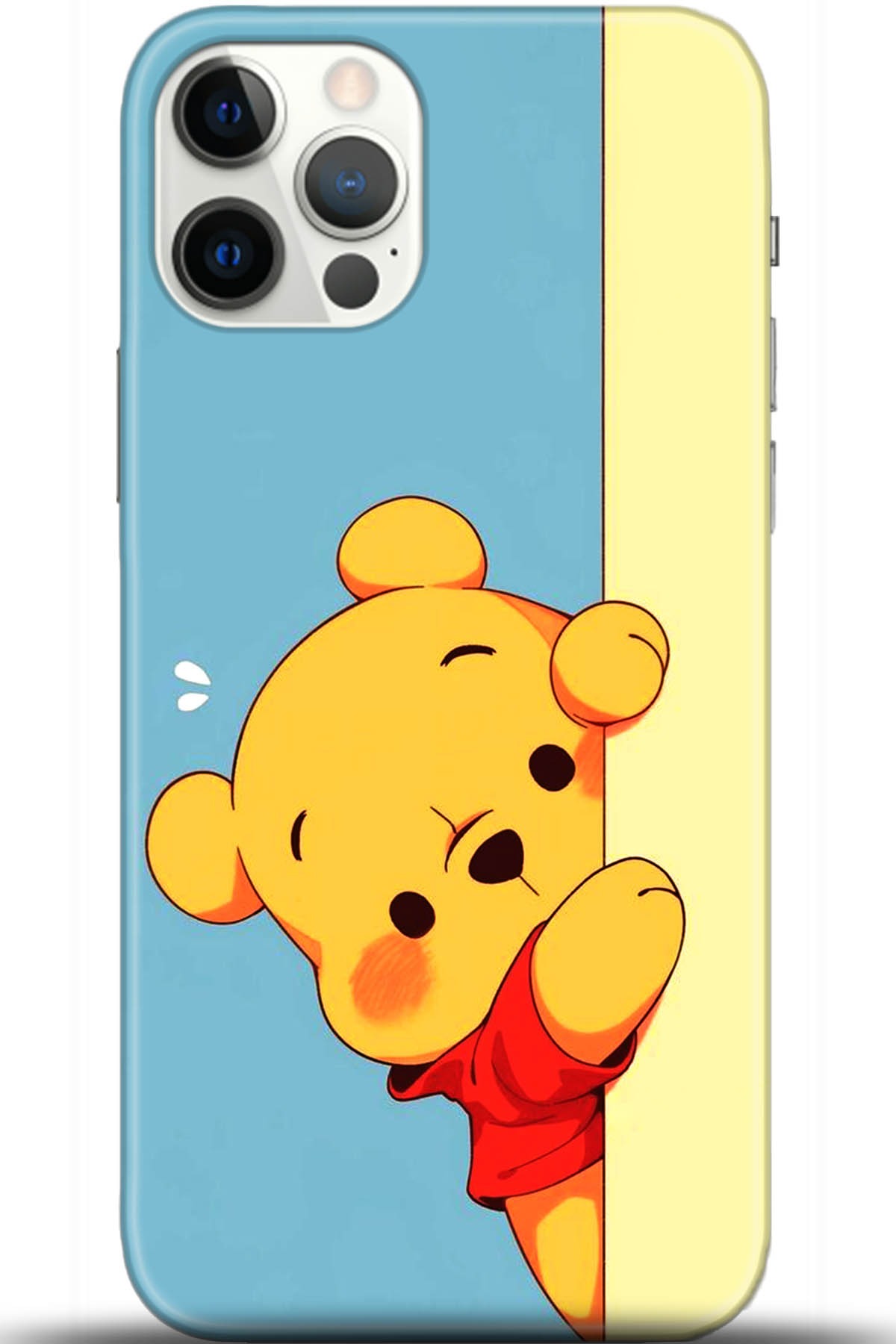 Apple iPhone 12 Pro 6.1inç Uyumlu Kılıf HD Baskılı Kılıf - Followed Institution 5648