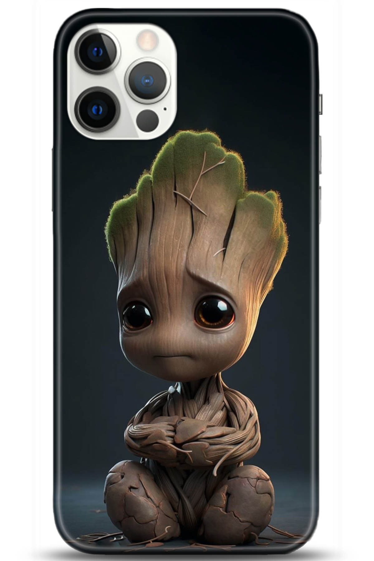 Apple iPhone 12 Pro Max 6.7inç Kılıf HD Baskılı Kılıf - Followed Institution 5071