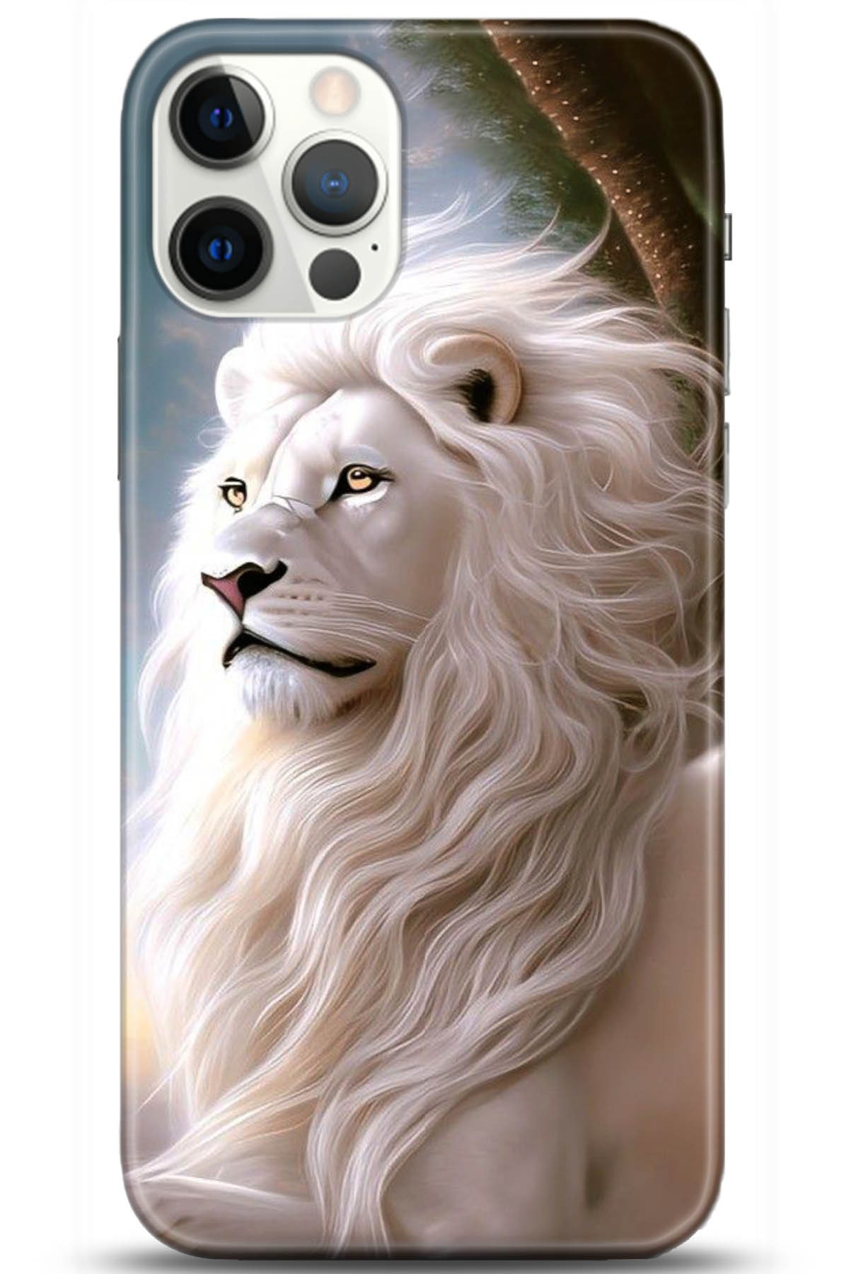 Apple iPhone 12 Pro Max 6.7inç Kılıf HD Baskılı Kılıf - Followed Institution 5114