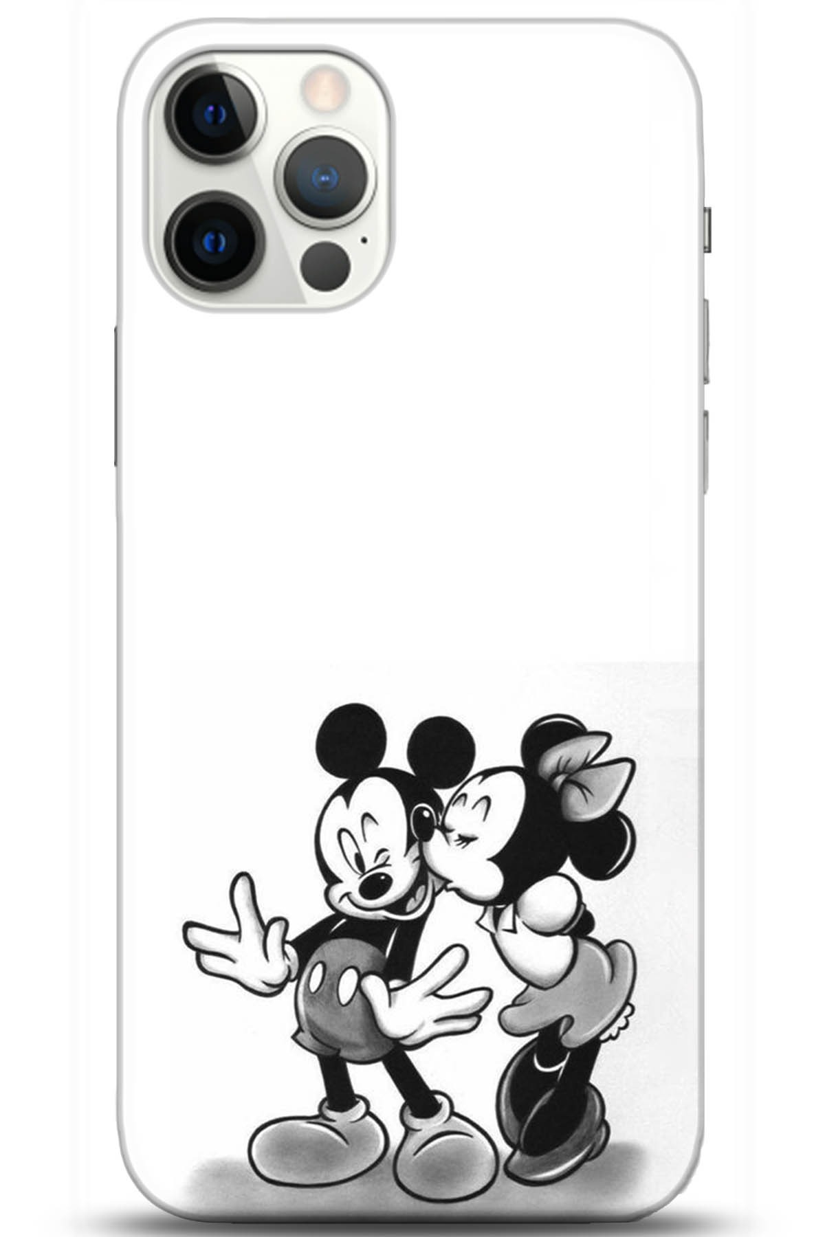 Apple iPhone 12 Pro Max 6.7inç Kılıf HD Baskılı Kılıf - Followed Institution 5313