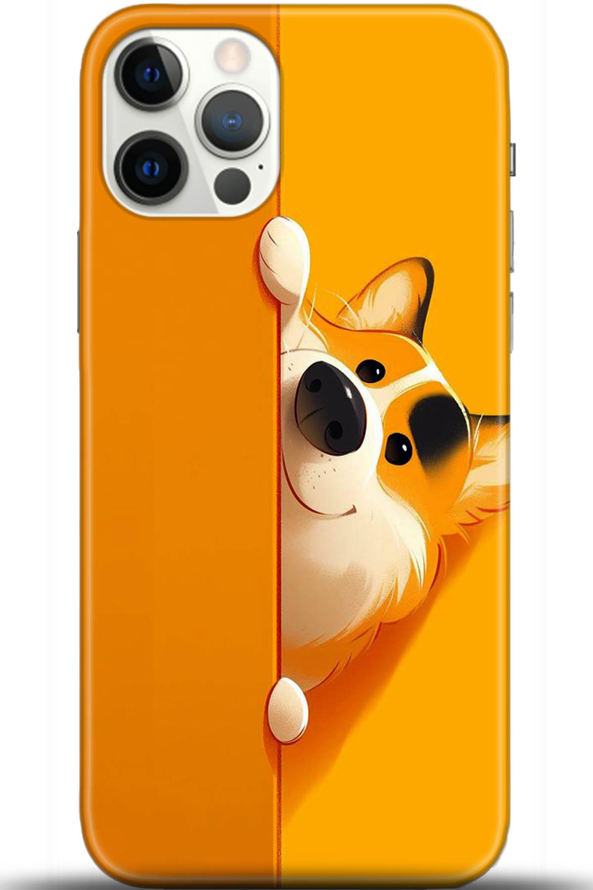 Apple iPhone 12 Pro Max 6.7inç Kılıf HD Baskılı Kılıf - Followed Institution 5460