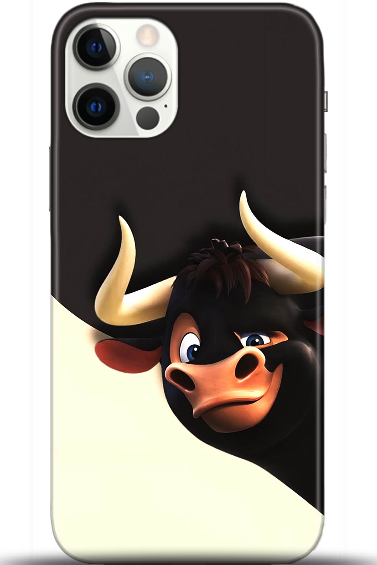 Apple iPhone 12 Pro Max 6.7inç Kılıf HD Baskılı Kılıf - Followed Institution 5608