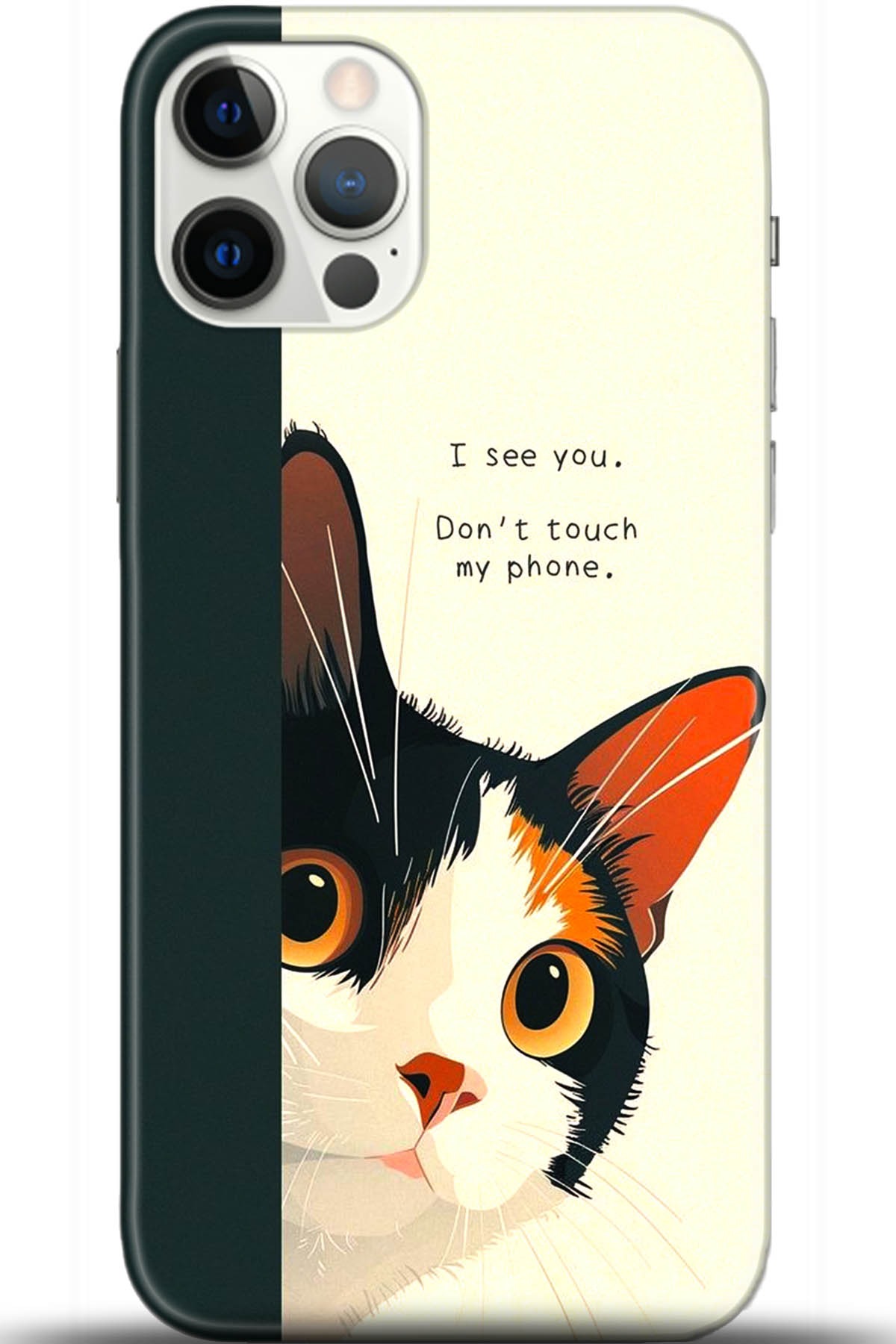 Apple iPhone 12 Pro Max 6.7inç Kılıf HD Baskılı Kılıf - Followed Institution 5649