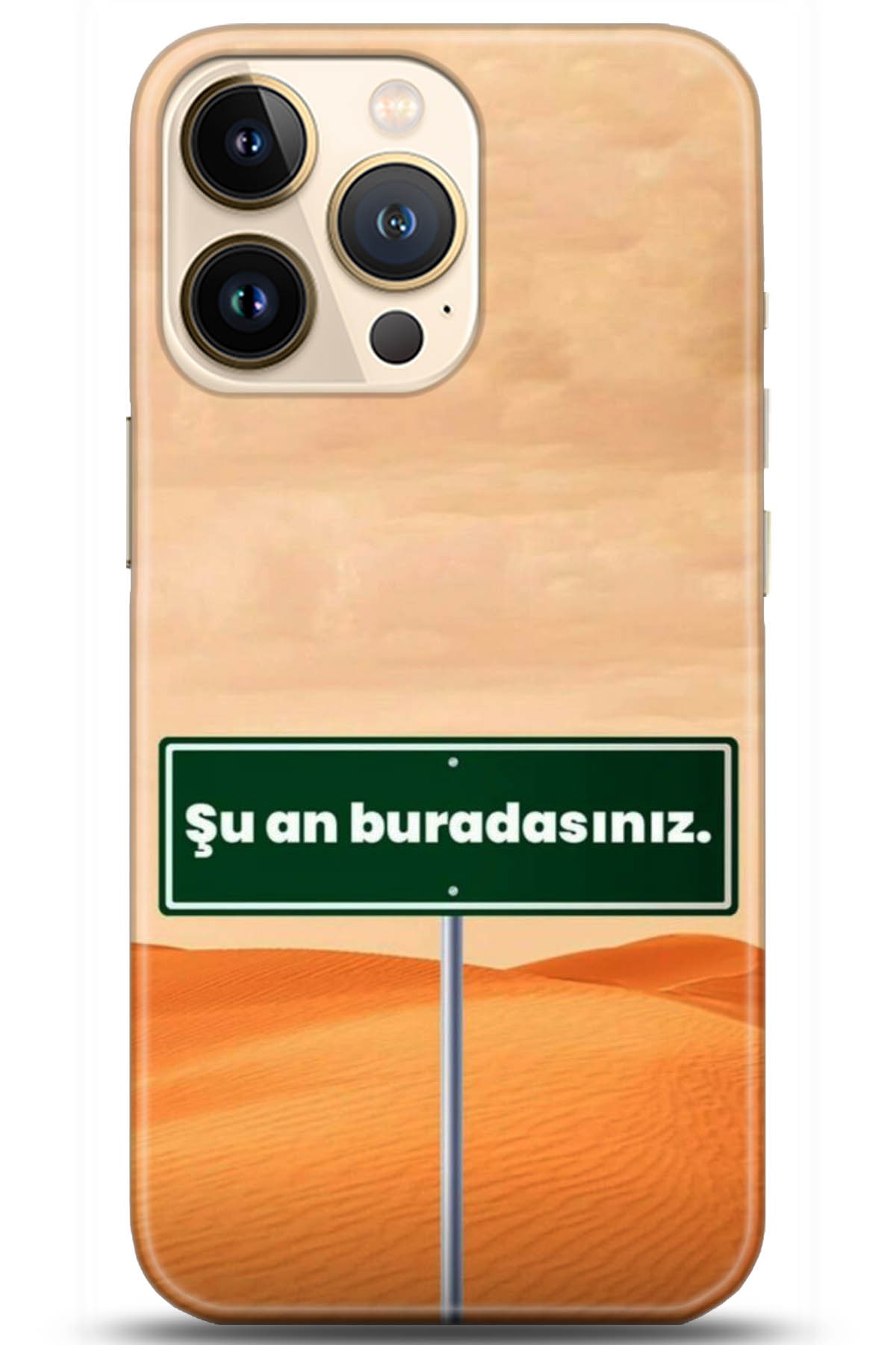 Apple iPhone 13 Pro Kılıf HD Baskılı Kılıf - Followed Institution 5159