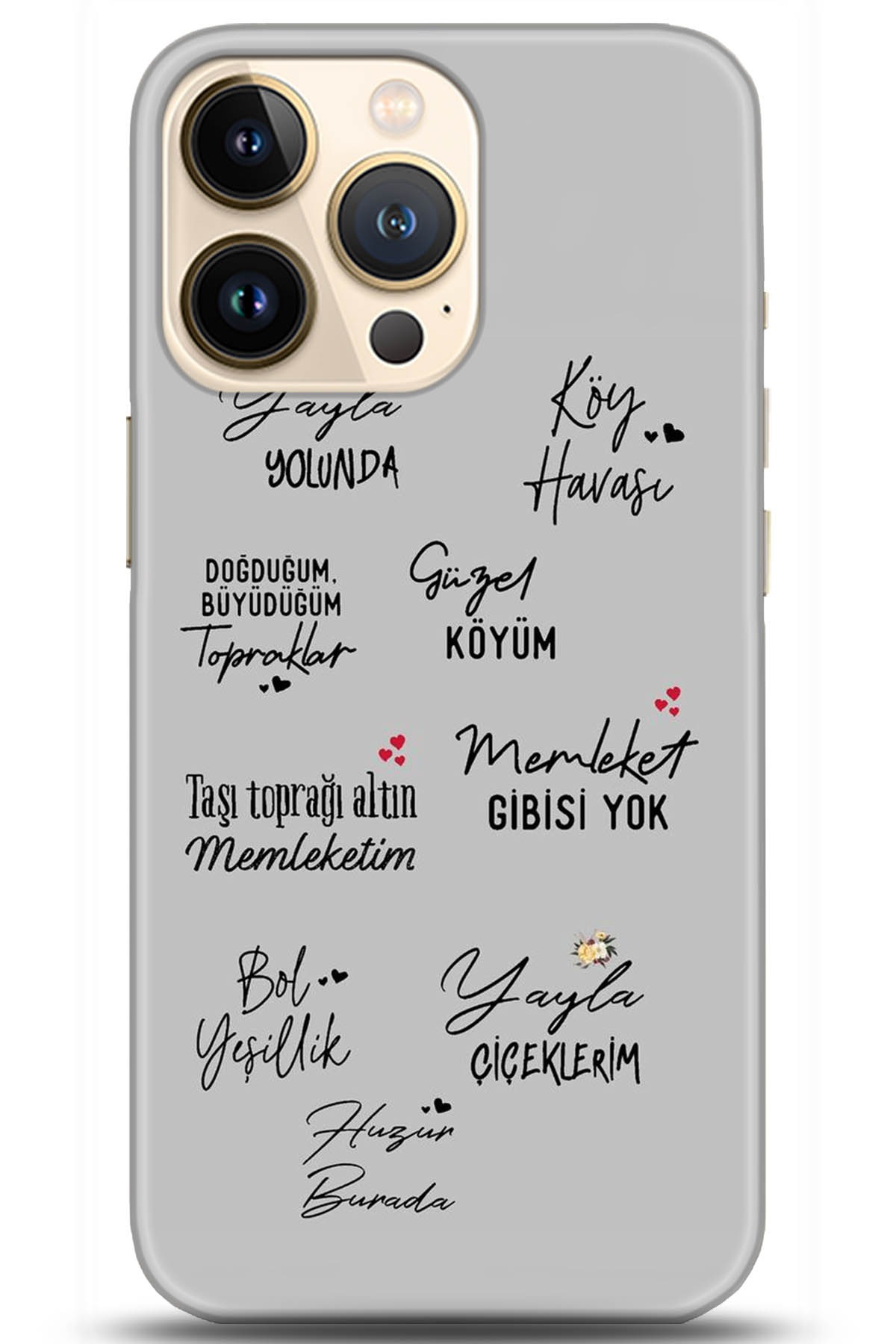 Apple iPhone 13 Pro Kılıf HD Baskılı Kılıf - Followed Institution 5210