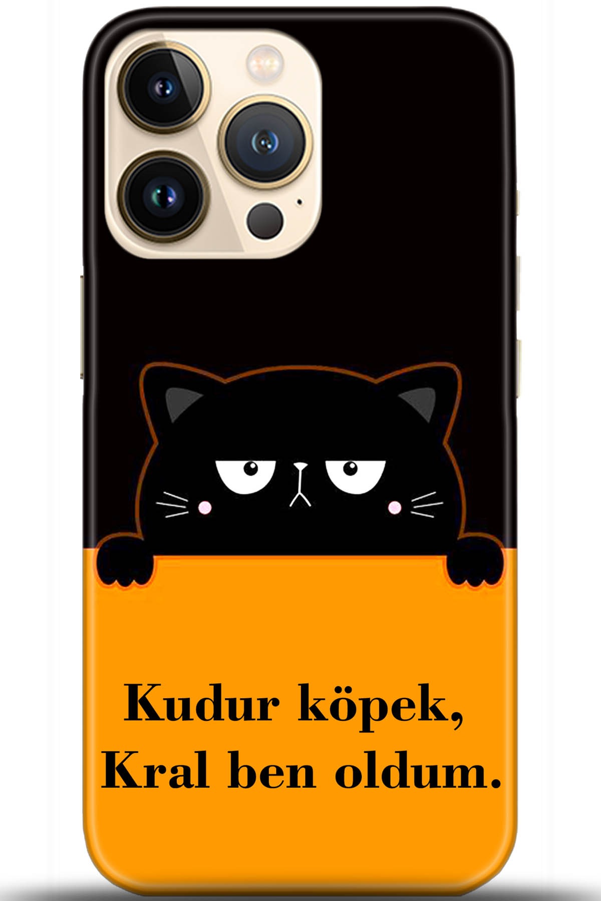 Apple iPhone 13 Pro Kılıf HD Baskılı Kılıf - Followed Institution 5719