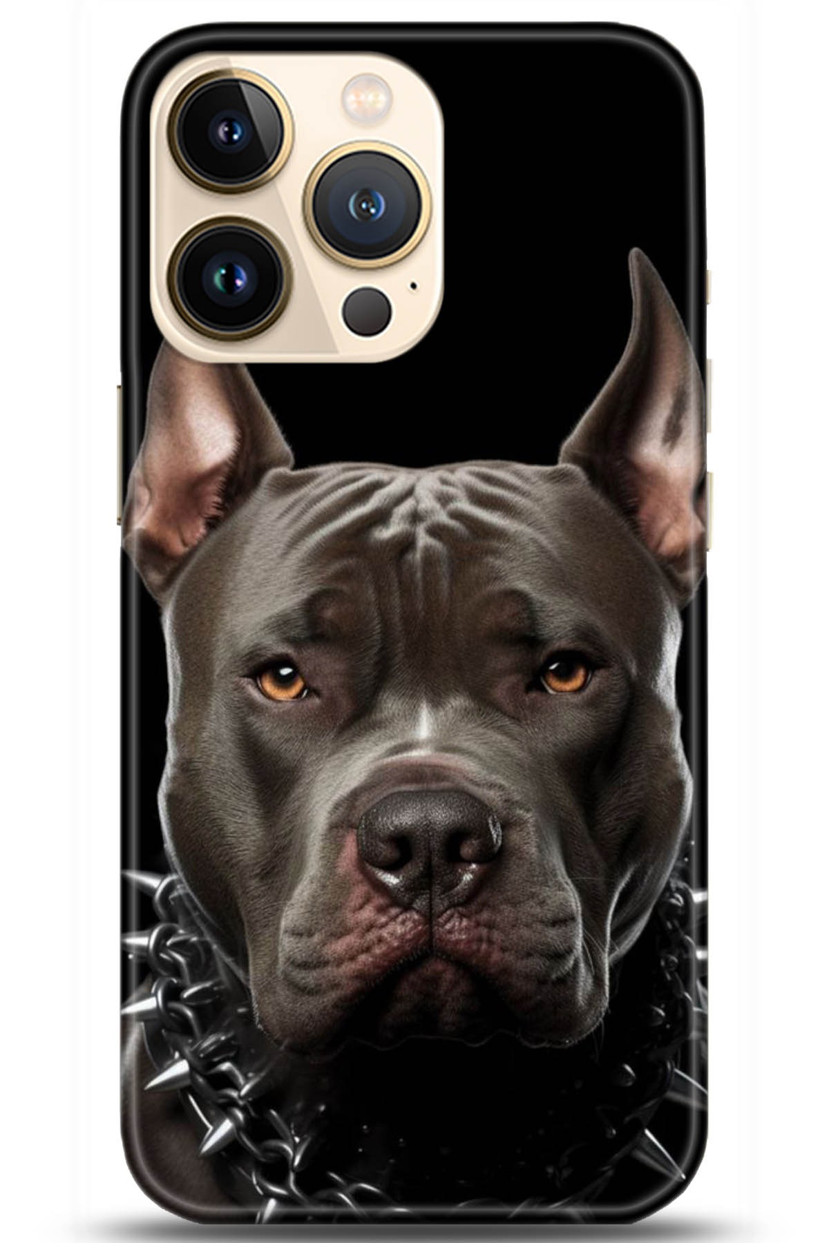 Apple iPhone 13 Pro Uyumlu Kılıf HD Baskılı Kılıf - Followed Institution 5104