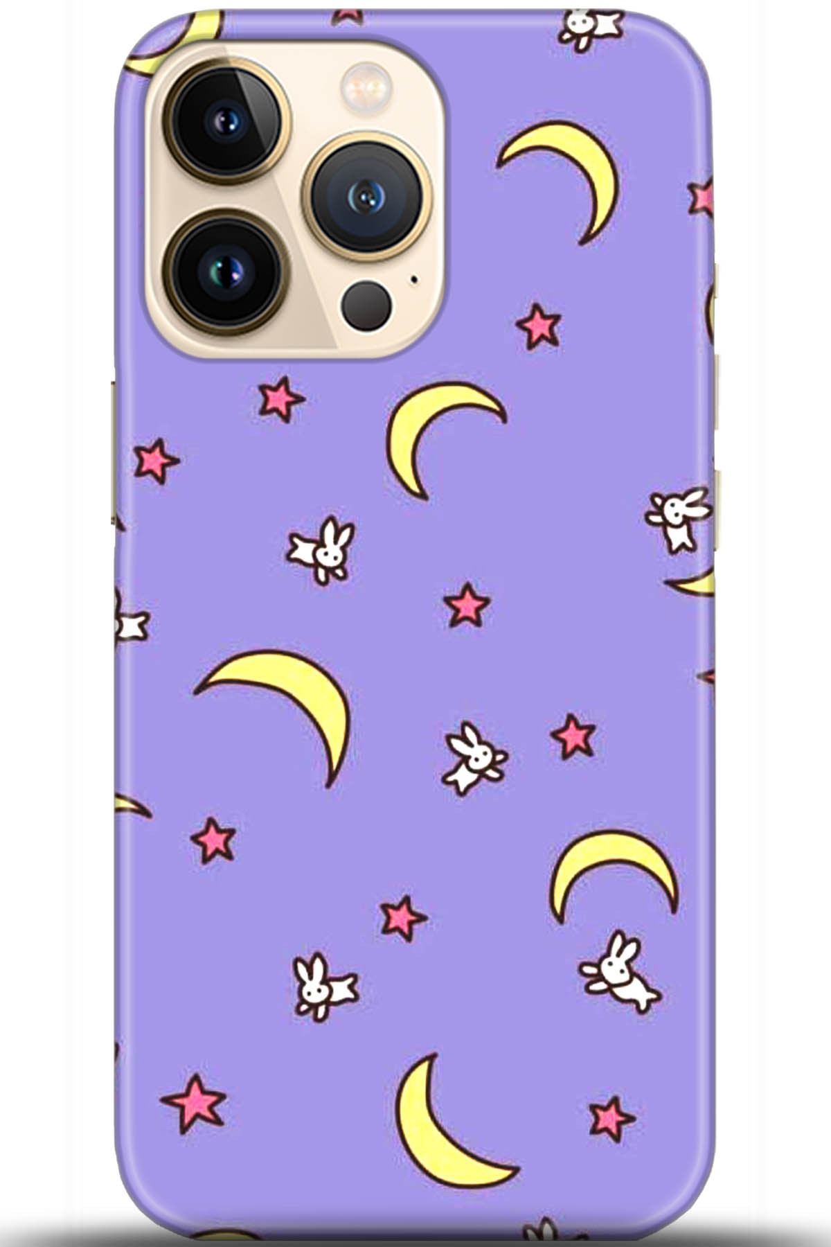 Apple iPhone 13 Pro Uyumlu Kılıf HD Baskılı Kılıf - Followed Institution 5523