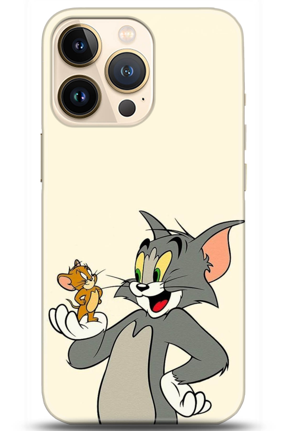 Apple iPhone 13 Pro Max Kılıf HD Baskılı Kılıf - Followed Institution 5030