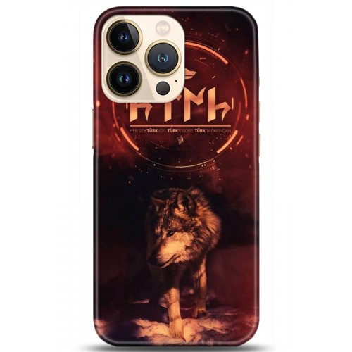 Kılıf HD Baskılı Kılıf - Followed Institution 5056