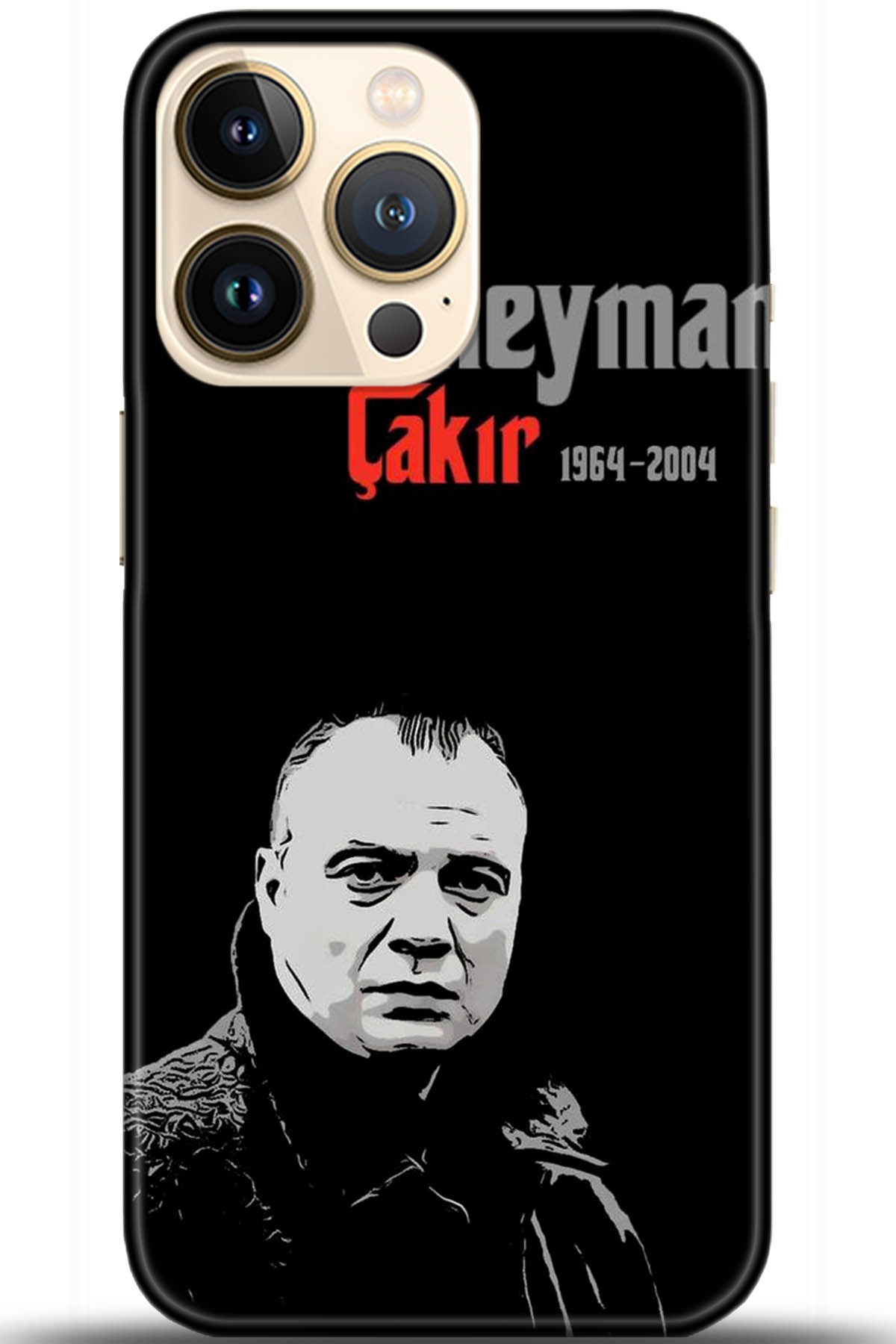 Apple iPhone 13 Pro Max Uyumlu Kılıf HD Baskılı Kılıf - Followed Institution 5625