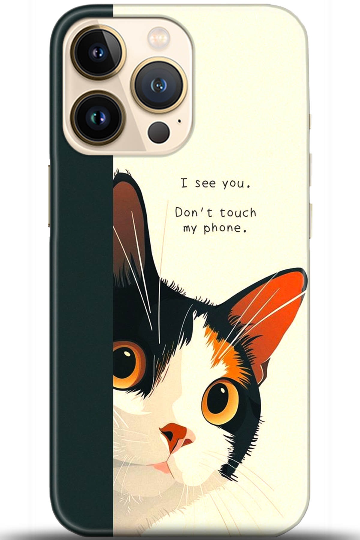 Apple iPhone 13 Pro Max Uyumlu Kılıf HD Baskılı Kılıf - Followed Institution 5649