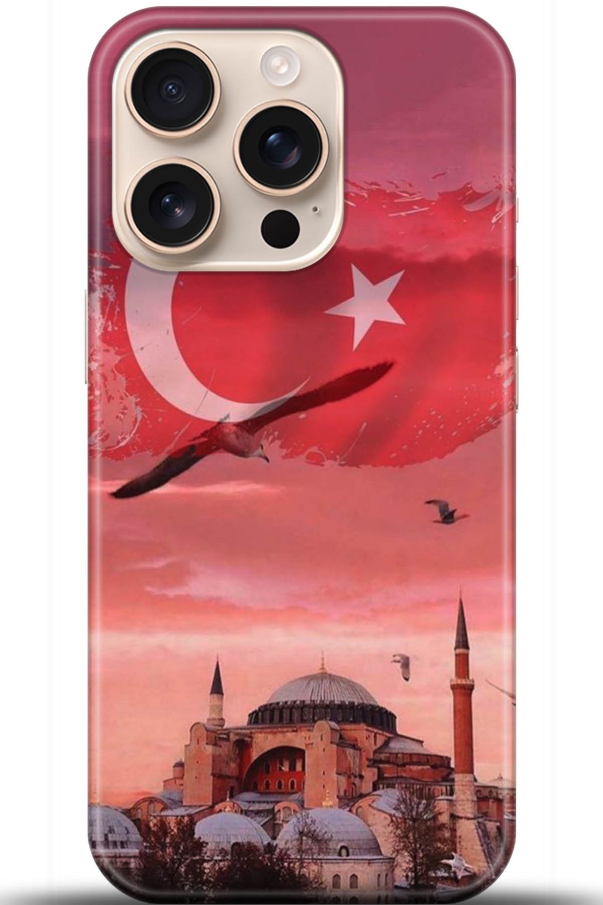 Apple iPhone 16 Pro Max Uyumlu Kılıf HD Baskılı Kılıf - Followed Institution 5179