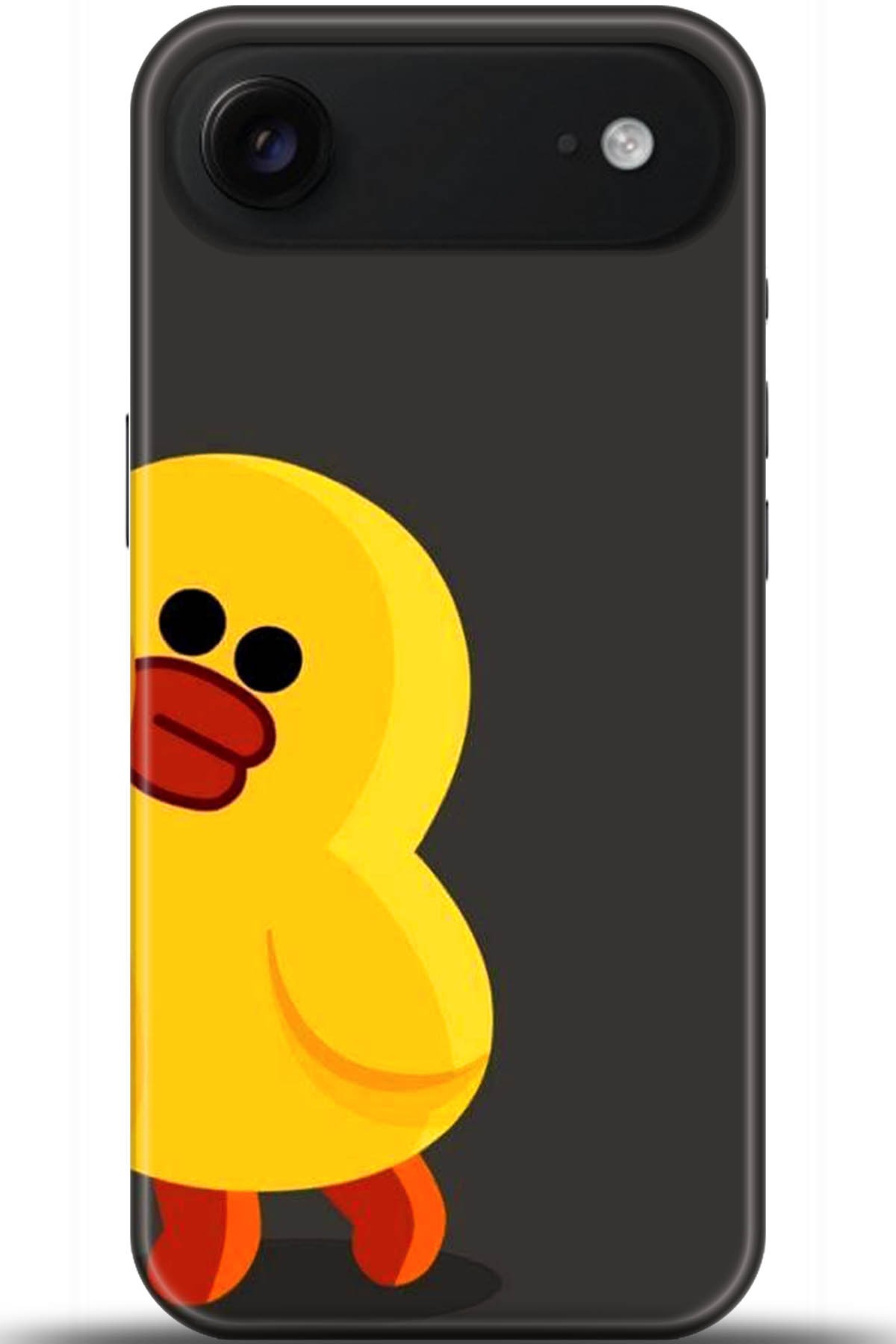 Apple iPhone Air Uyumlu Kılıf HD Baskılı Kılıf - Followed Institution 5519