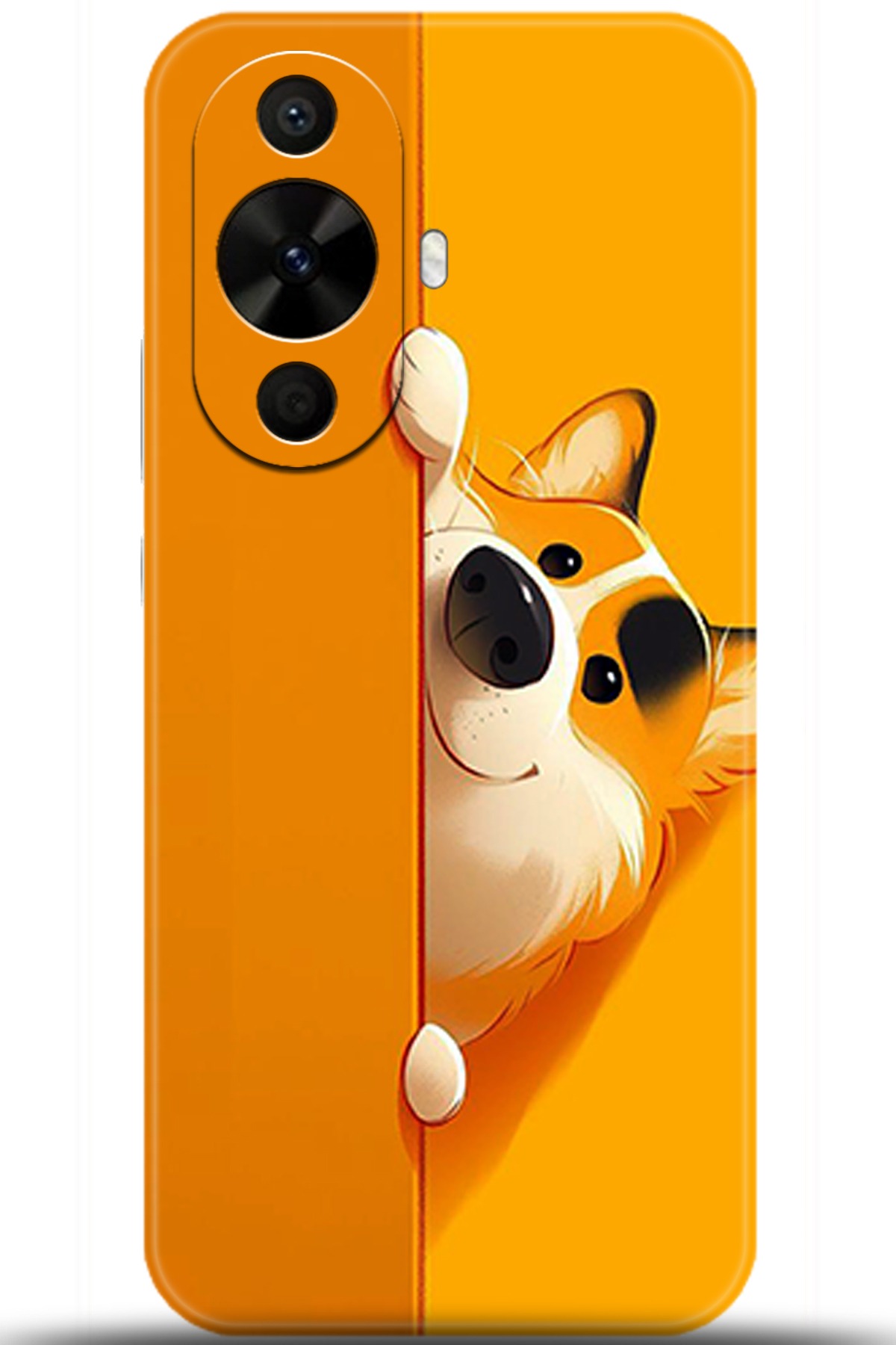 Huawei Nova 12s Uyumlu Kılıf HD Baskılı Kılıf - Followed Institution 5460