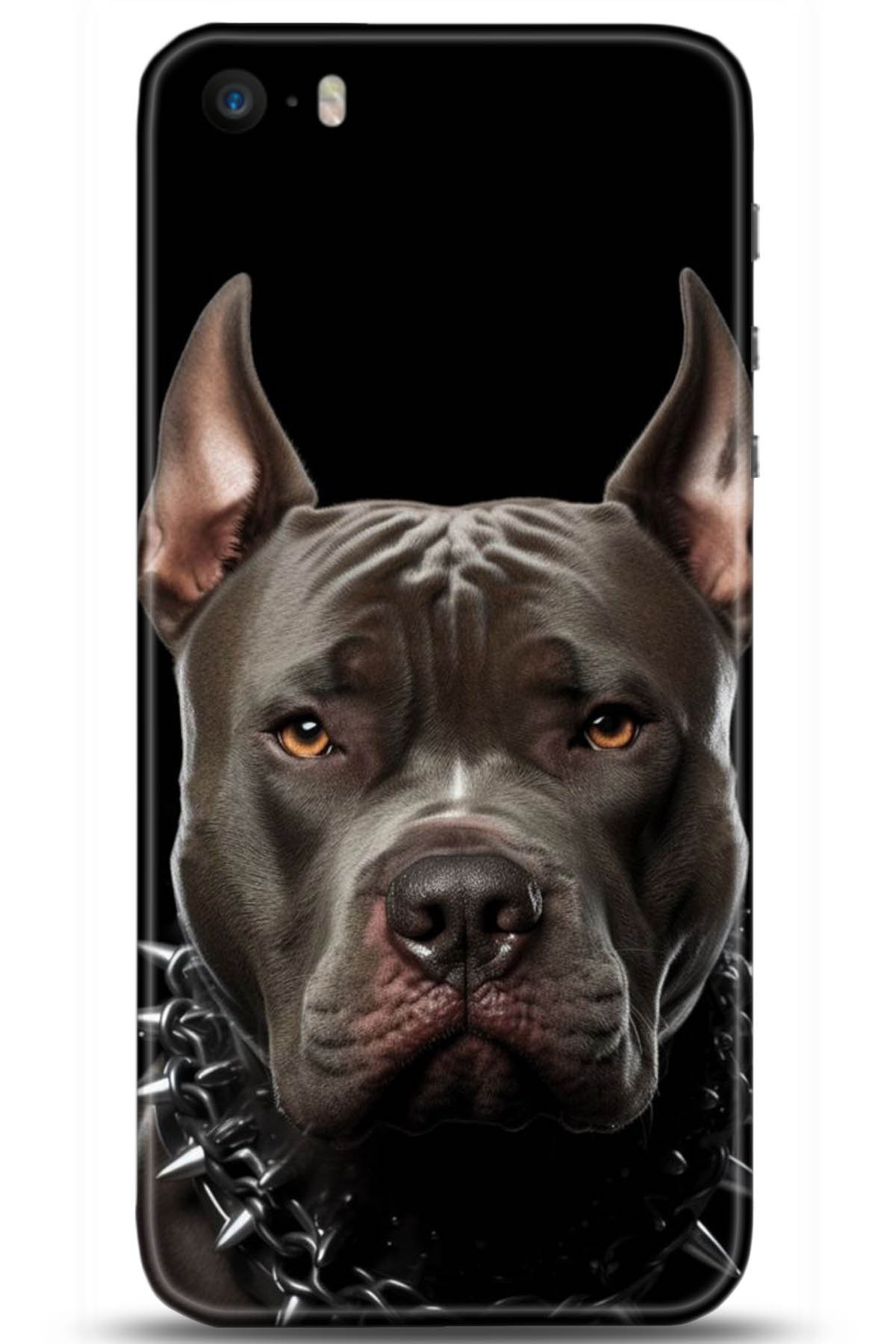 Apple iPhone 5S Uyumlu Kılıf HD Baskılı Kılıf - Followed Institution 5104