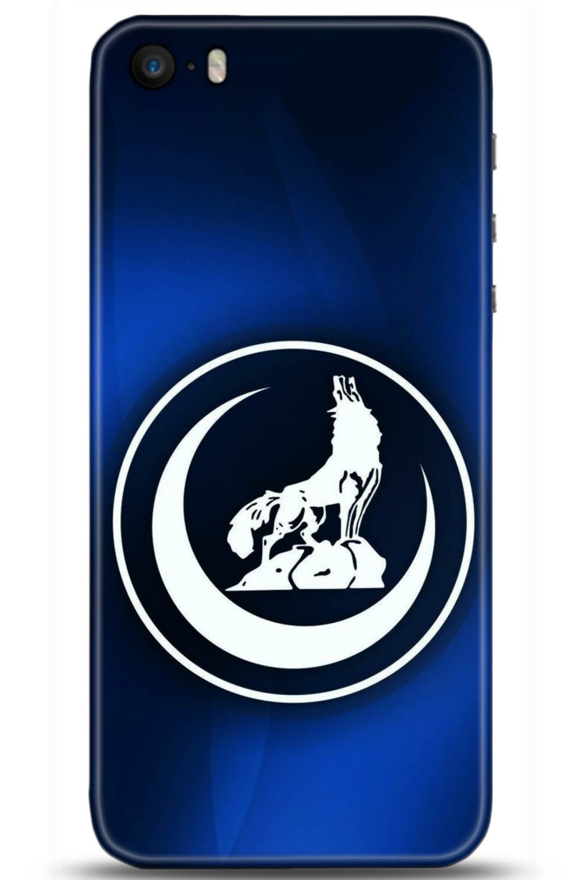 Apple iPhone 5S Uyumlu Kılıf HD Baskılı Kılıf - Followed Institution 5130