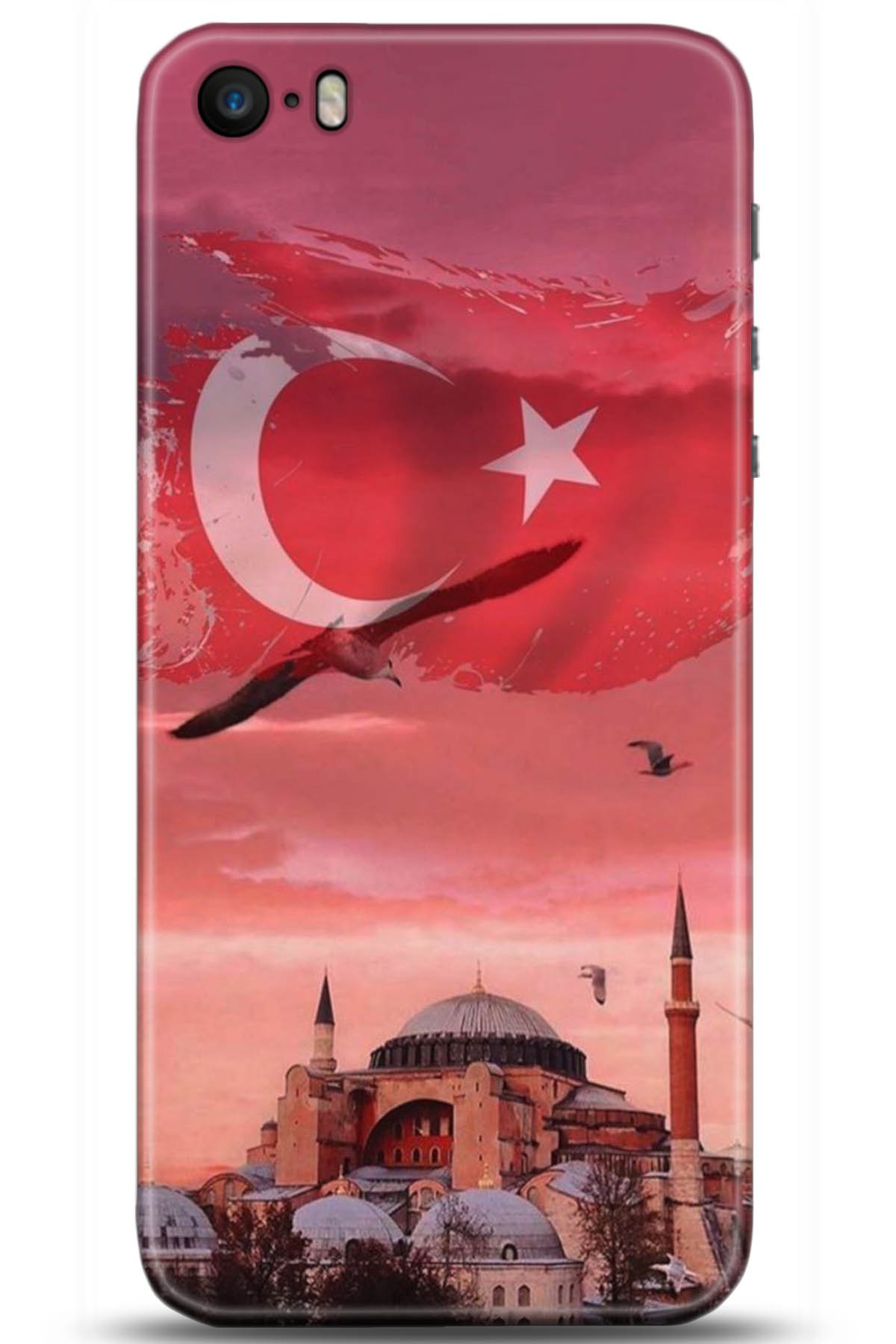 Apple iPhone 5S Uyumlu Kılıf HD Baskılı Kılıf - Followed Institution 5179