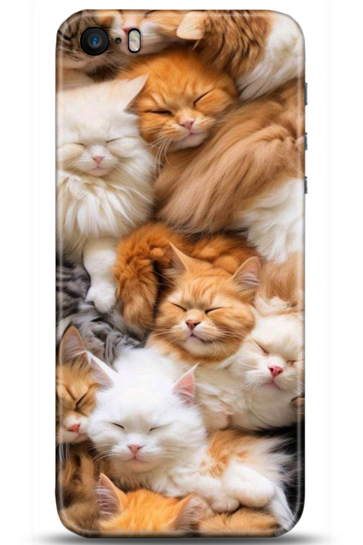 Apple iPhone 5S Uyumlu Kılıf HD Baskılı Kılıf - Followed Institution 5234