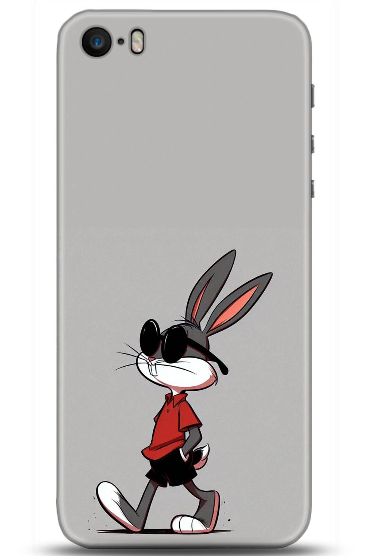 Apple iPhone 5S Uyumlu Kılıf HD Baskılı Kılıf - Followed Institution 5247