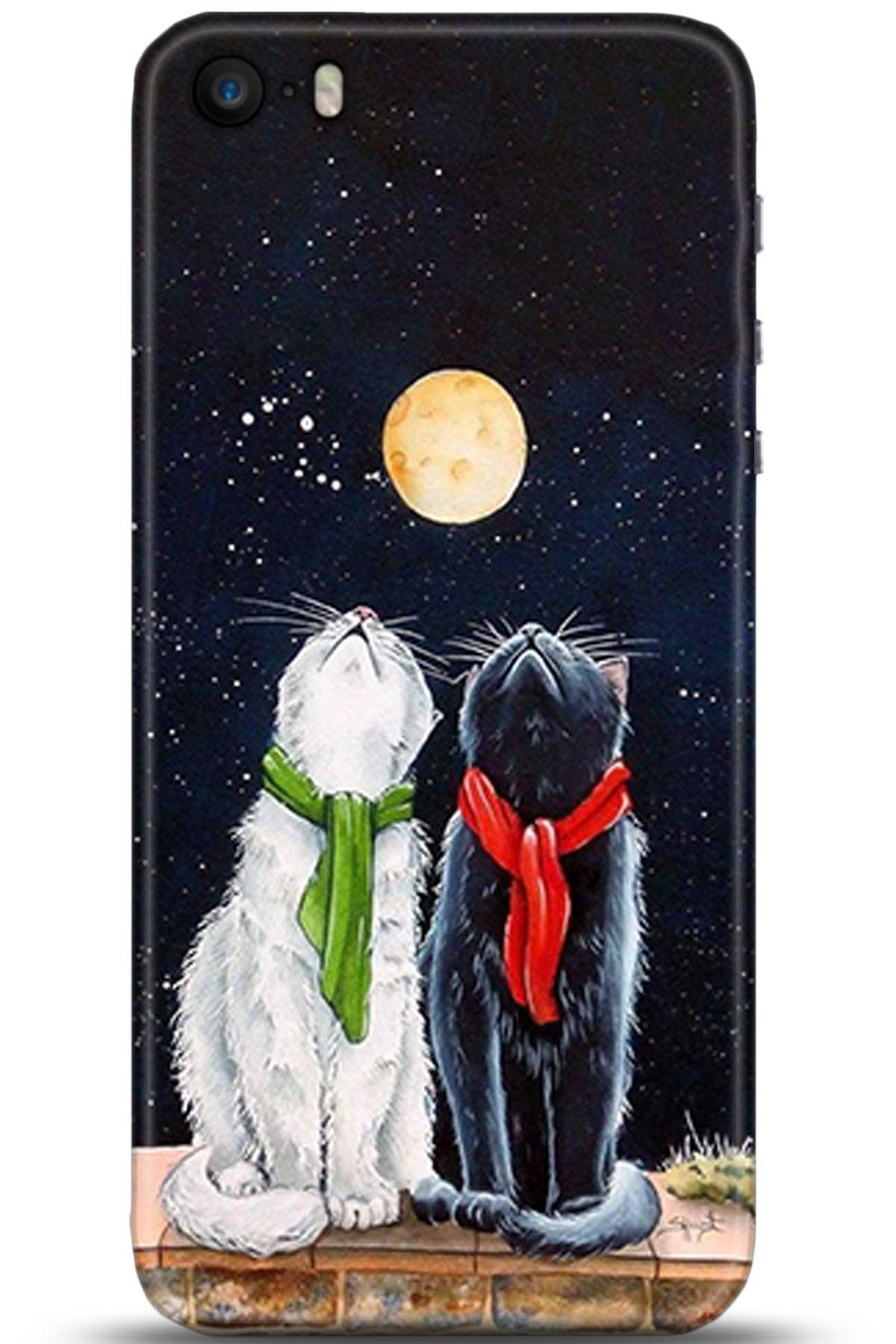 Apple iPhone 5S Uyumlu Kılıf HD Baskılı Kılıf - Followed Institution 5318