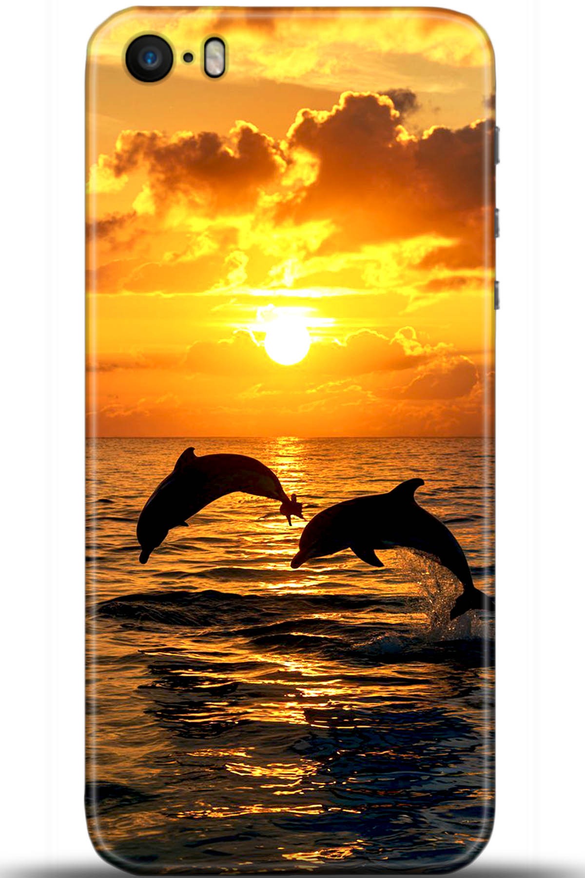 Apple iPhone 5S Uyumlu Kılıf HD Baskılı Kılıf - Followed Institution 5427