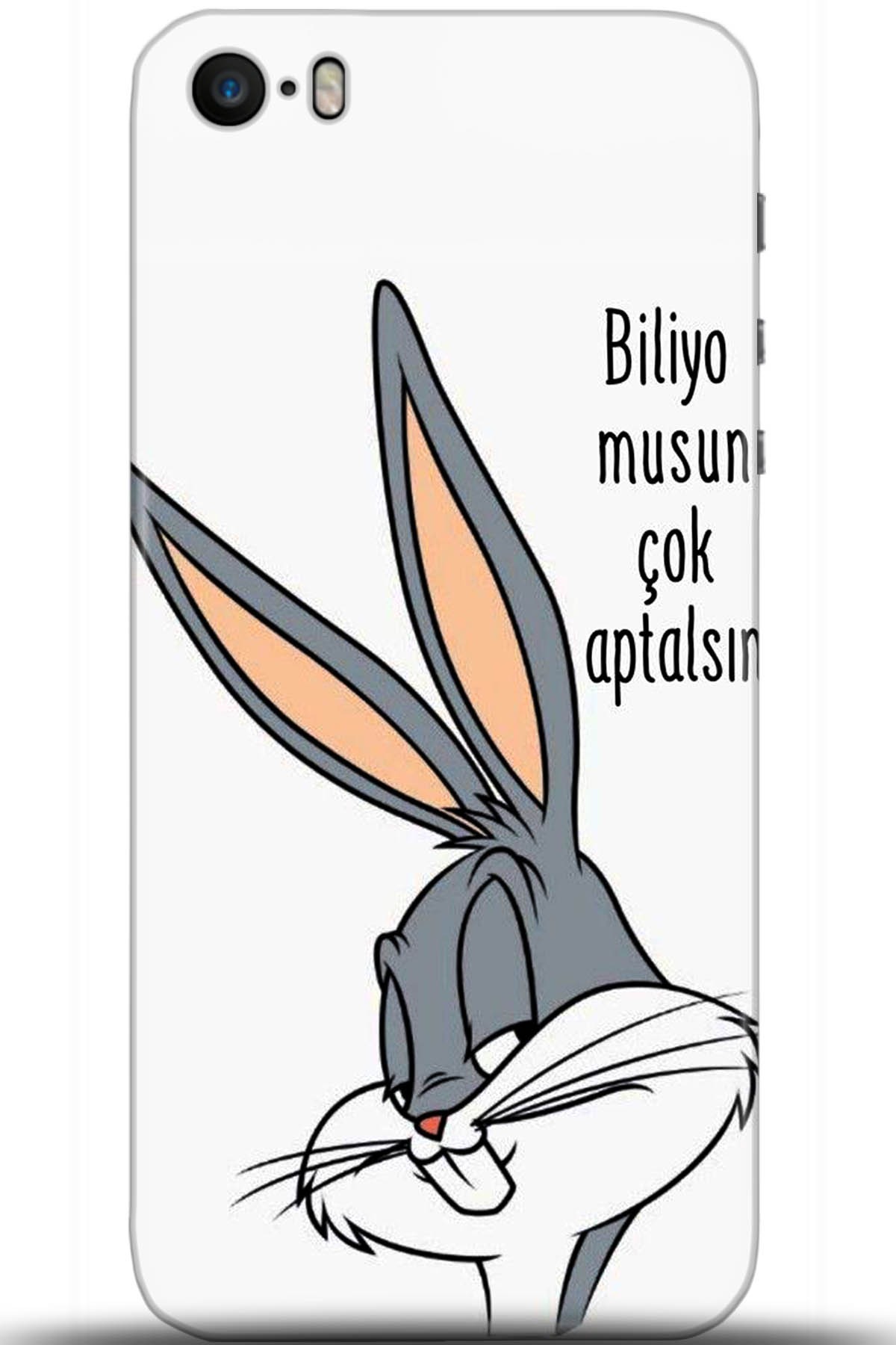 Apple iPhone 5S Uyumlu Kılıf HD Baskılı Kılıf - Followed Institution 5685