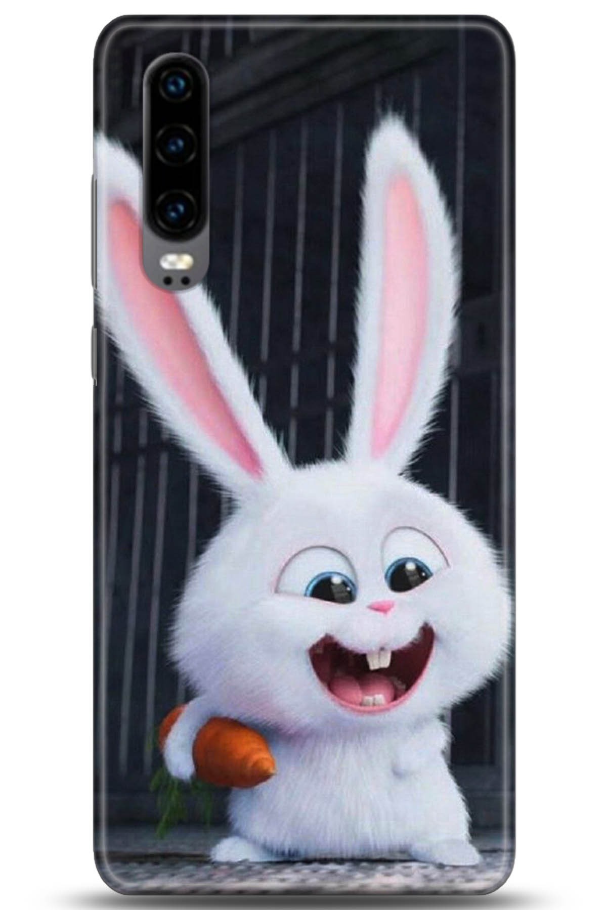 Huawei P30 Uyumlu Kılıf HD Baskılı Kılıf - Followed Institution 5048