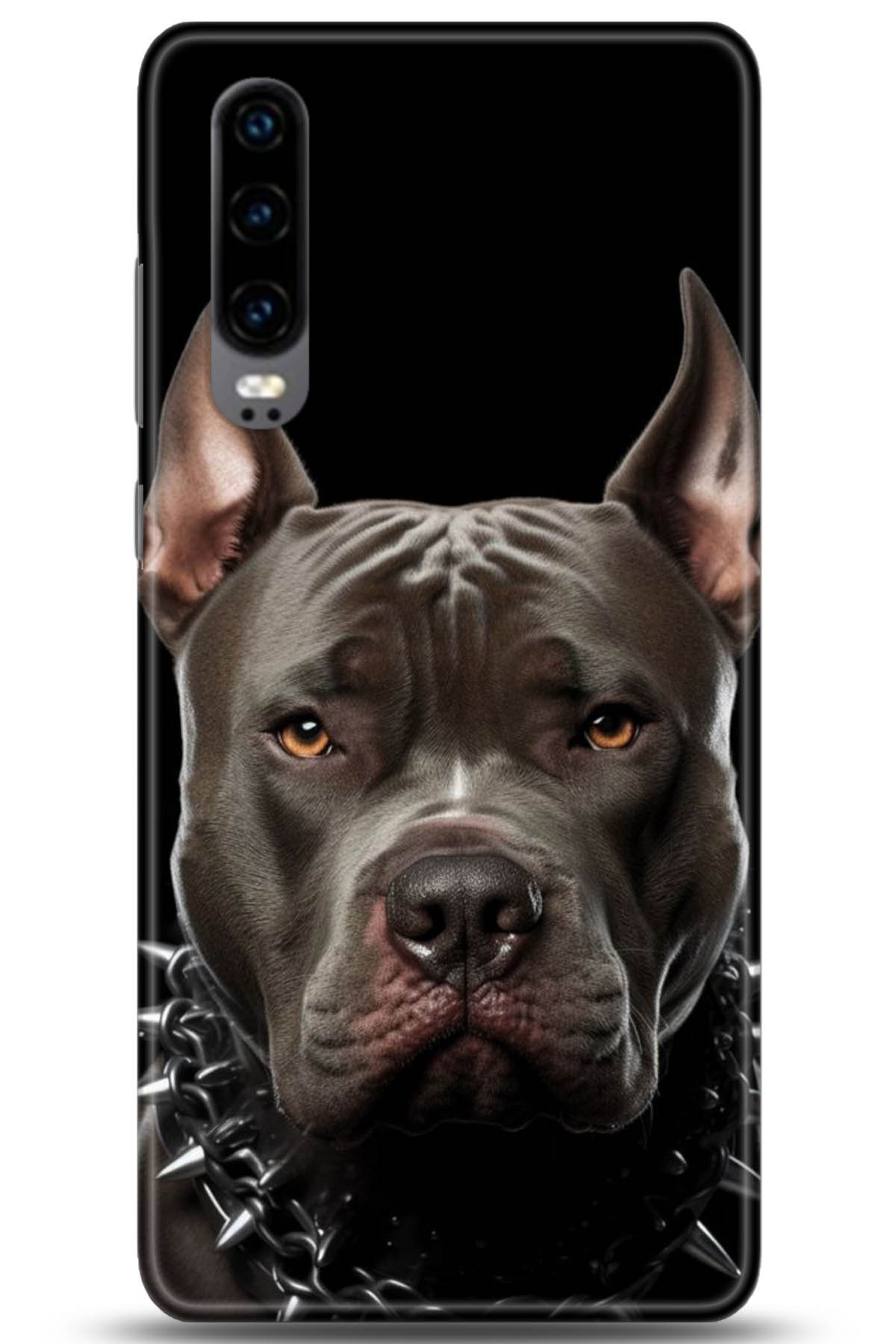 Huawei P30 Uyumlu Kılıf HD Baskılı Kılıf - Followed Institution 5104