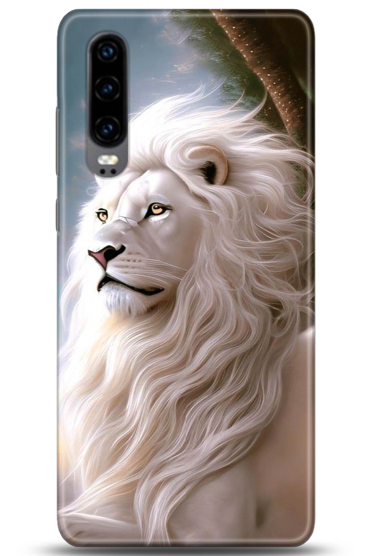 Huawei P30 Uyumlu Kılıf HD Baskılı Kılıf - Followed Institution 5114