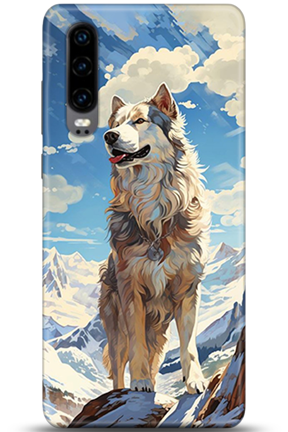 Huawei P30 Uyumlu Kılıf HD Baskılı Kılıf - Followed Institution 5357