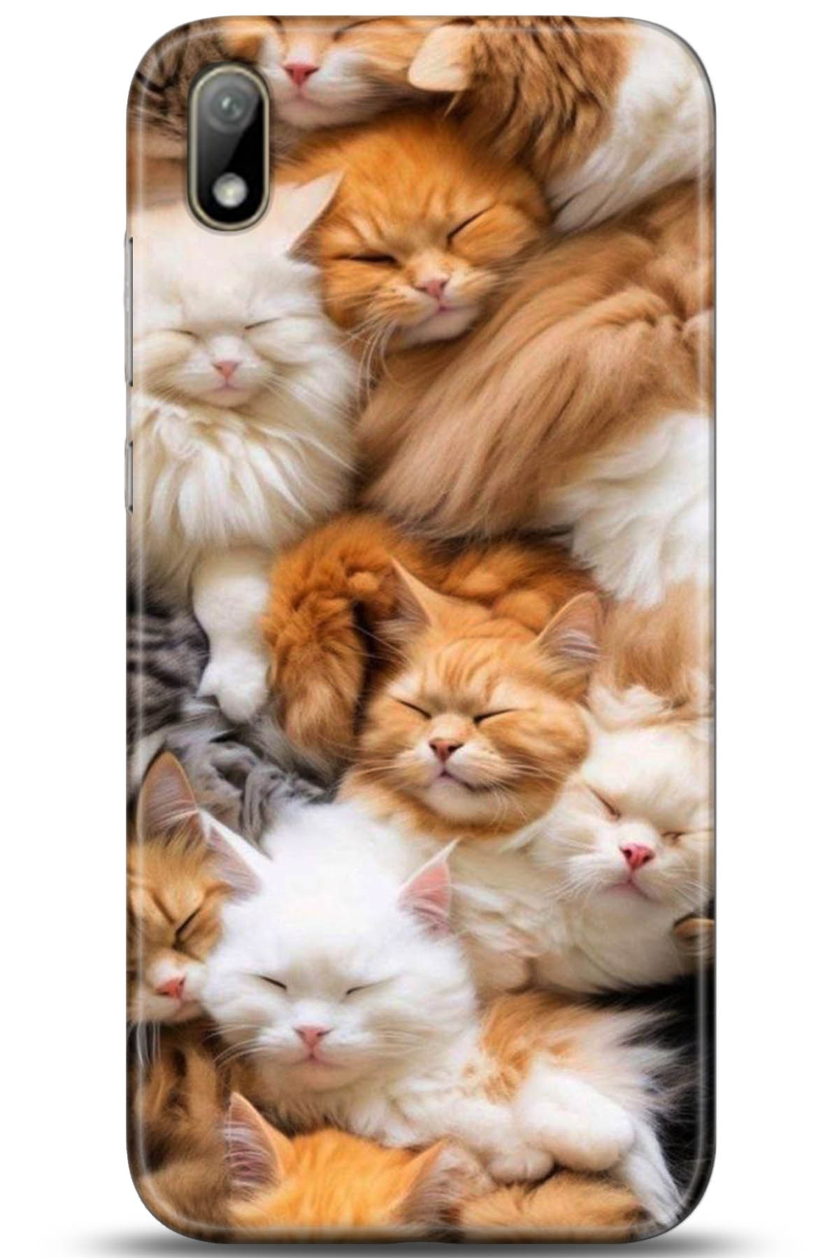 Huawei Y5 2019 Uyumlu Kılıf HD Baskılı Kılıf - Followed Institution 5234