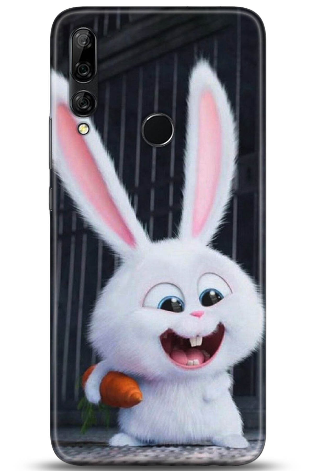 Huawei Y9 Prime 2019 Uyumlu Kılıf HD Baskılı Kılıf - Followed Institution 5048